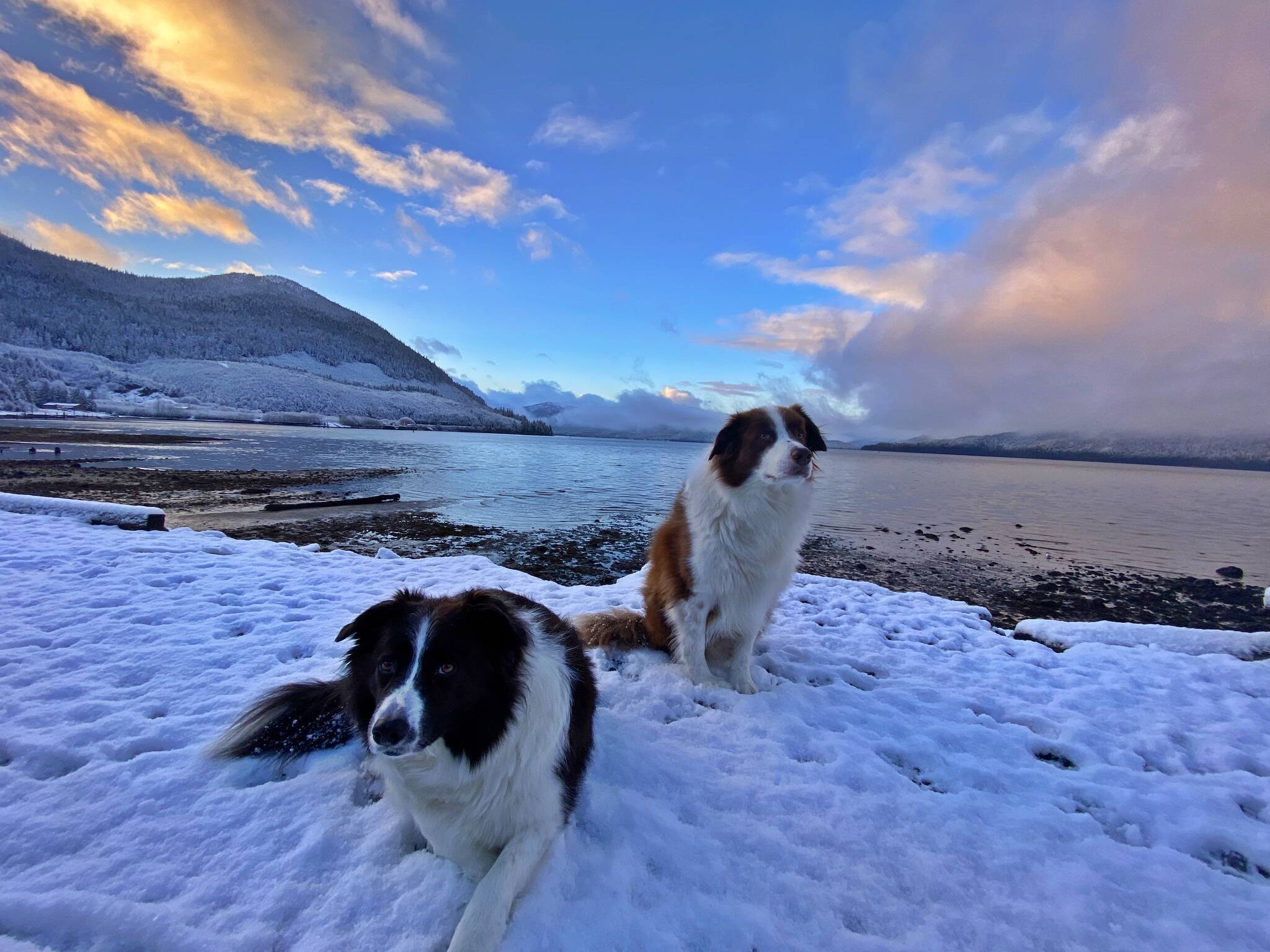 Kéet and Oscar wait patiently to play on the beach in winter in Wrangell. (Vivian Faith Prescott / For the Capital City Weekly)