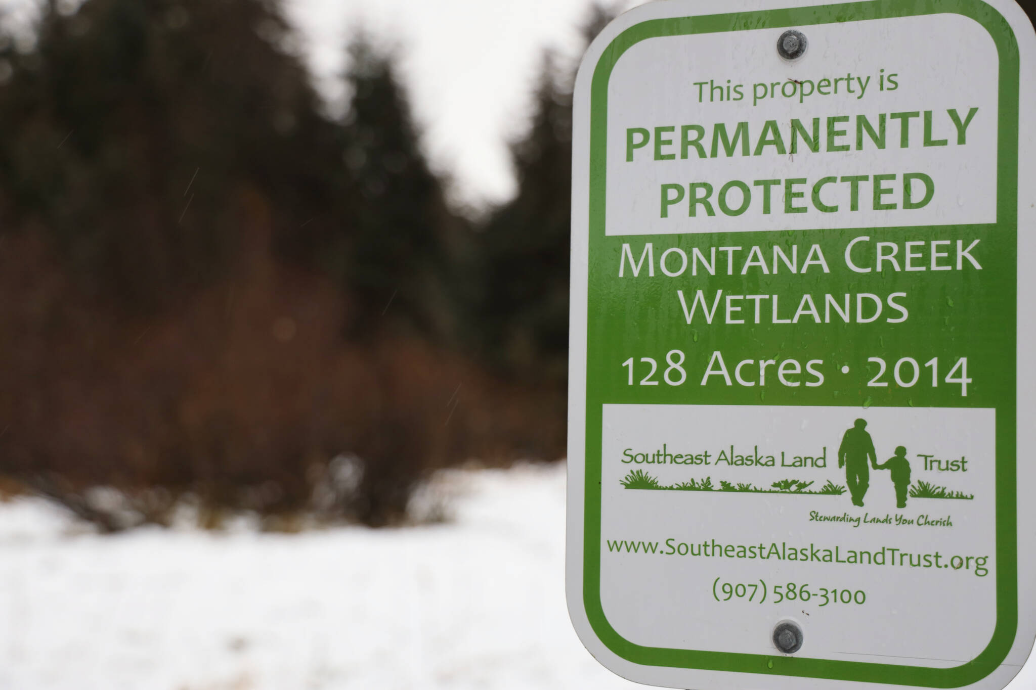 Rain drizzles on a sign Wednesday morning at a trailhead leading into the Montana Creek Wetlands area. A public meeting was held Wednesday evening presenting a revised Montana Creek draft master plan. (Clarise Larson / Juneau Empire)