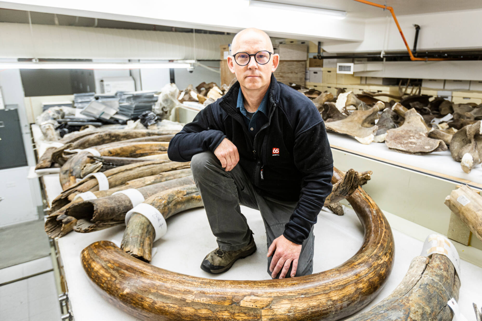 Courtesy Photo / JR Ancheta, UAF 
Matthew Wooller kneels in the mammoth tusk collection at the University of Alaska Museum of the North in 2021. Wooller is leading the museum’s Adopt a Mammoth program, which will date and identify specimens at the museum.