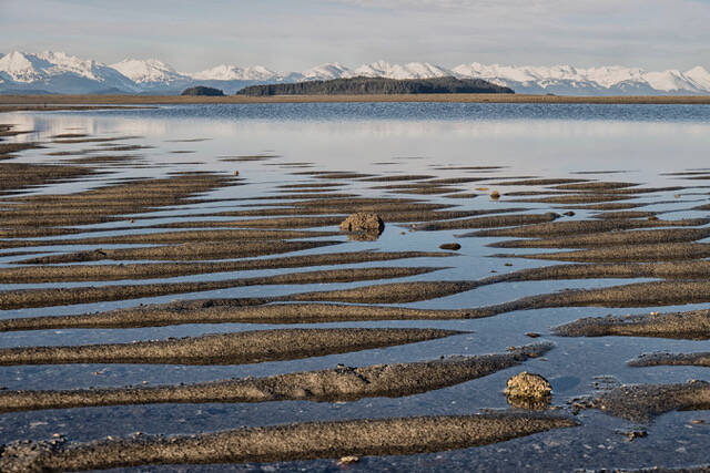 This photo shows the Chilkat Range looming behind Eagle Beach sand ripples. (Courtesy Photo / Kenneth Gill)