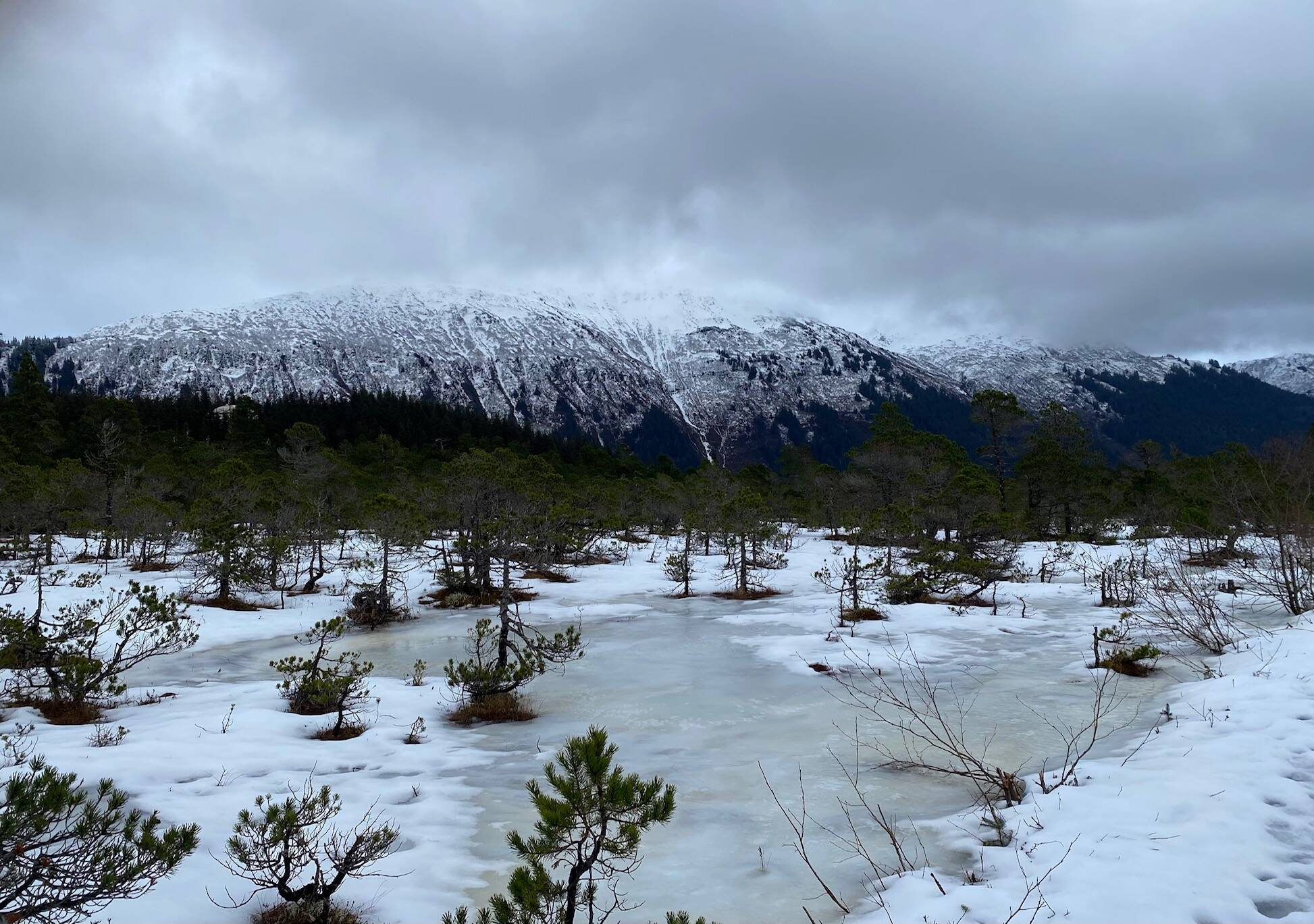A frozen icy meadow with Mount Roberts in the background. (Courtesy Photo / Denise Carroll)