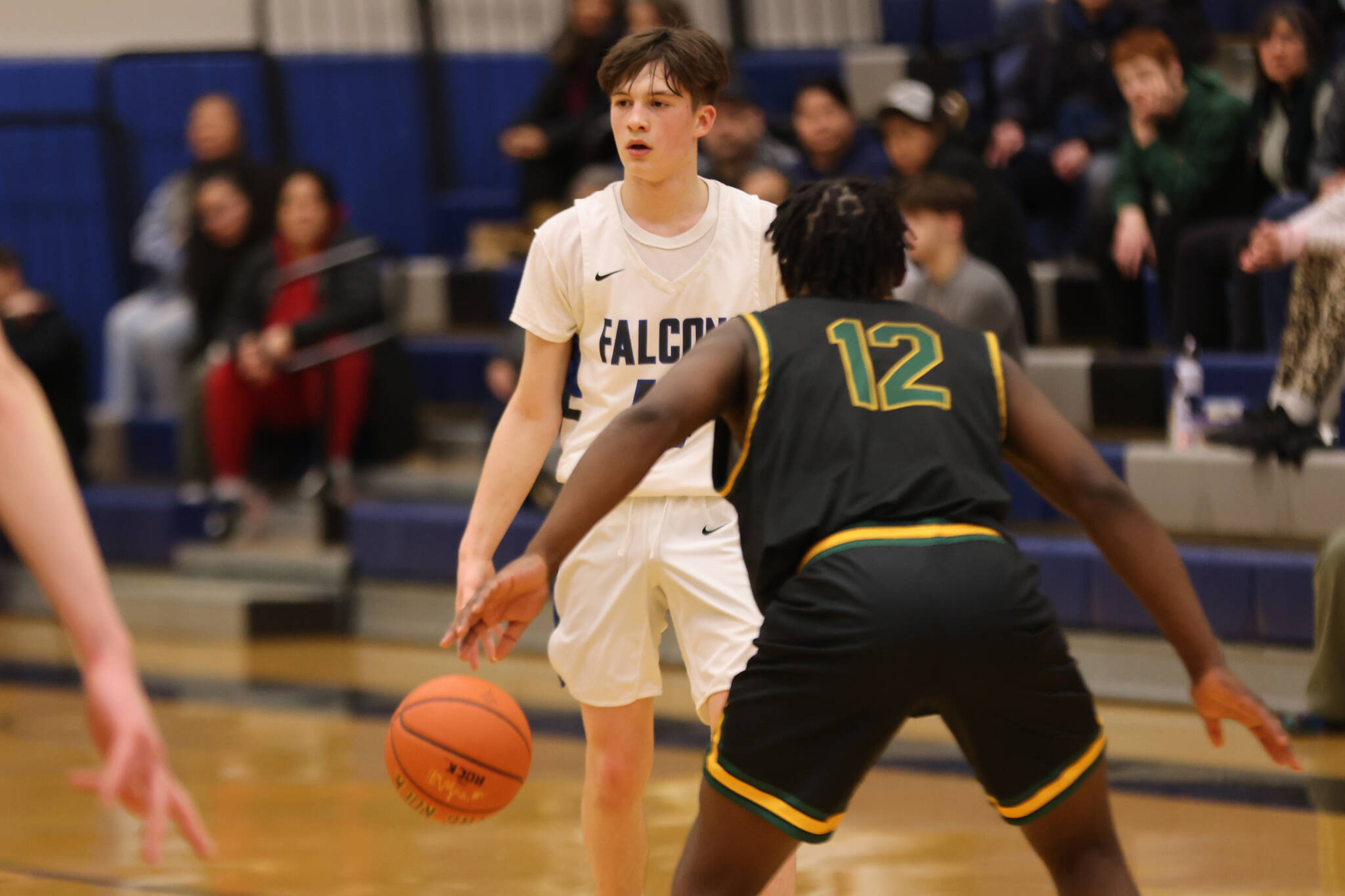 TMHS junior guard Samuel Lockhart surveys the court late in a home game against Service High School. Lockhart put up 14 points for the Falcons, including seven in the fourth quarter. (Ben Hohenstatt / Juneau Empire)
