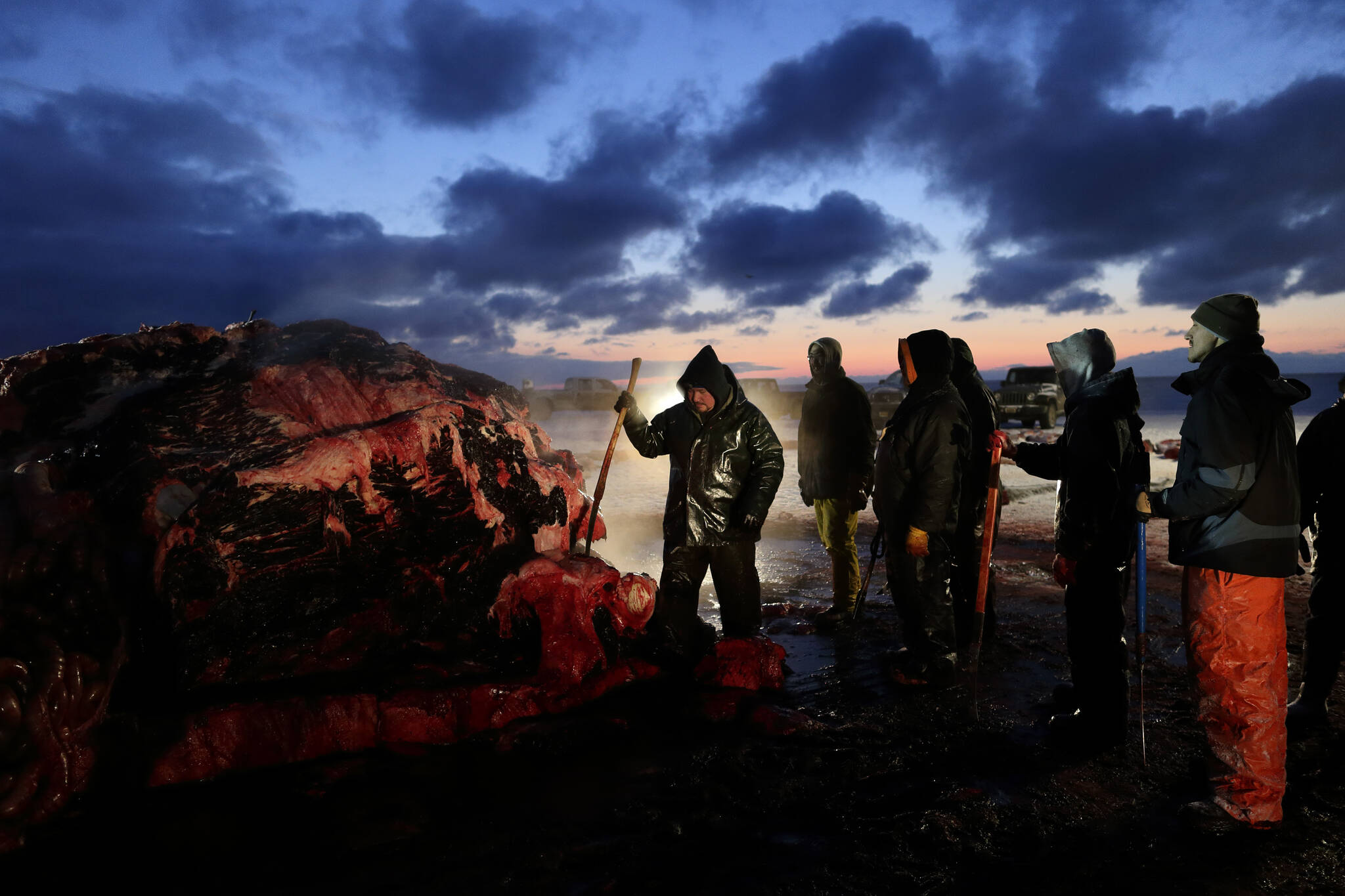 Fredrick Brower, center, helps cut up a bowhead whale caught by Inupiat subsistence hunters on a field near Barrow, Alaska, Oc. 7, 2014. After tidal surges and high winds from the remnants of a rare typhoon caused extensive flood damage to homes along Alaska's western coast in September, the U.S. government stepped in to help residents largely Alaska Natives repair property damage. Residents who opened Federal Emergency Management Agency brochures expecting to find instructions on how to file for aid in Alaska Native languages like Yup'ik or Inupiaq instead were reading nonsensical phrases. (AP Photo / Gregory Bull)