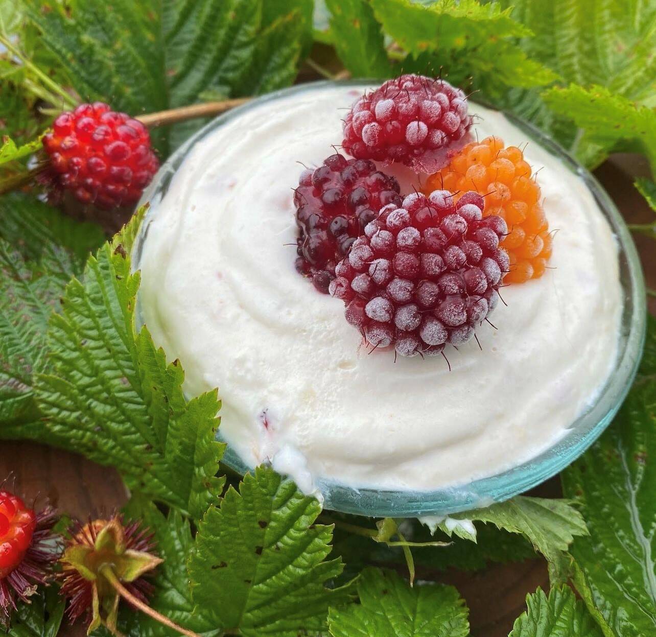 Courtesy Photo / Vivian Faith Prescott 
Salmonberry ice cream, made with frozen and fresh berries.