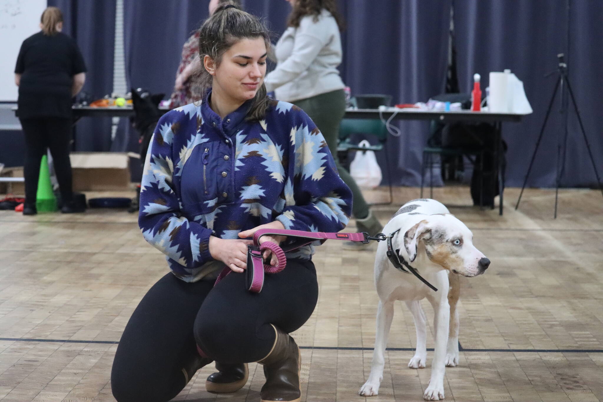 CC, 1, with owner Miranda Guizio attend Saturday’s No Bad Dog Class at the Juneau Arts and Culture Center to help with CC’s anxiety around other people and dogs. (Jonson Kuhn / Juneau Empire)