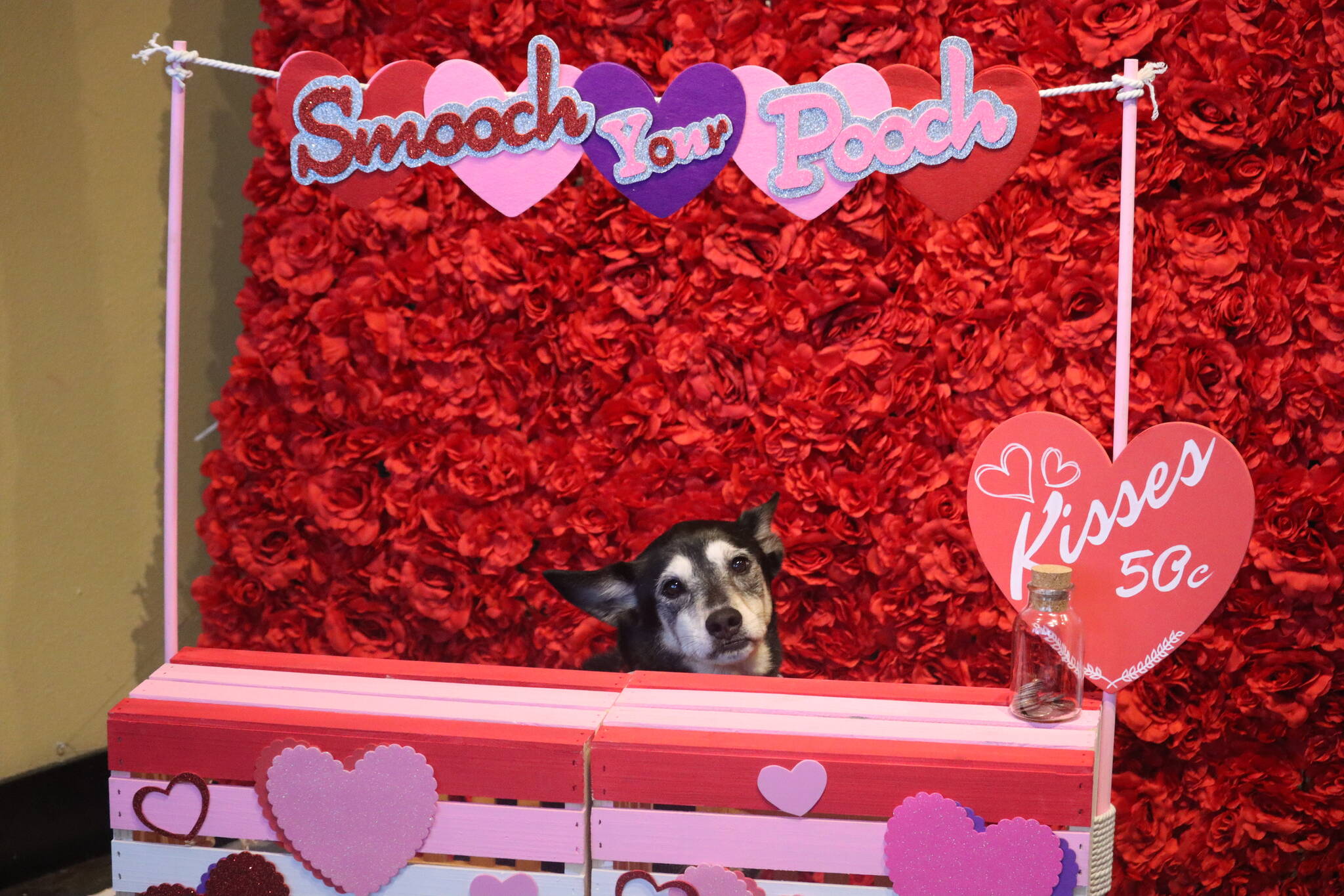 Hailey Stockton helps her dog Marlie pose for a photo behind the kissing booth at McGivney’s Downtown as part of Pawlentine’s Day on Saturday, hosted by Juneau’s Downtown Business Association. (Jonson Kuhn / Juneau Empire)
