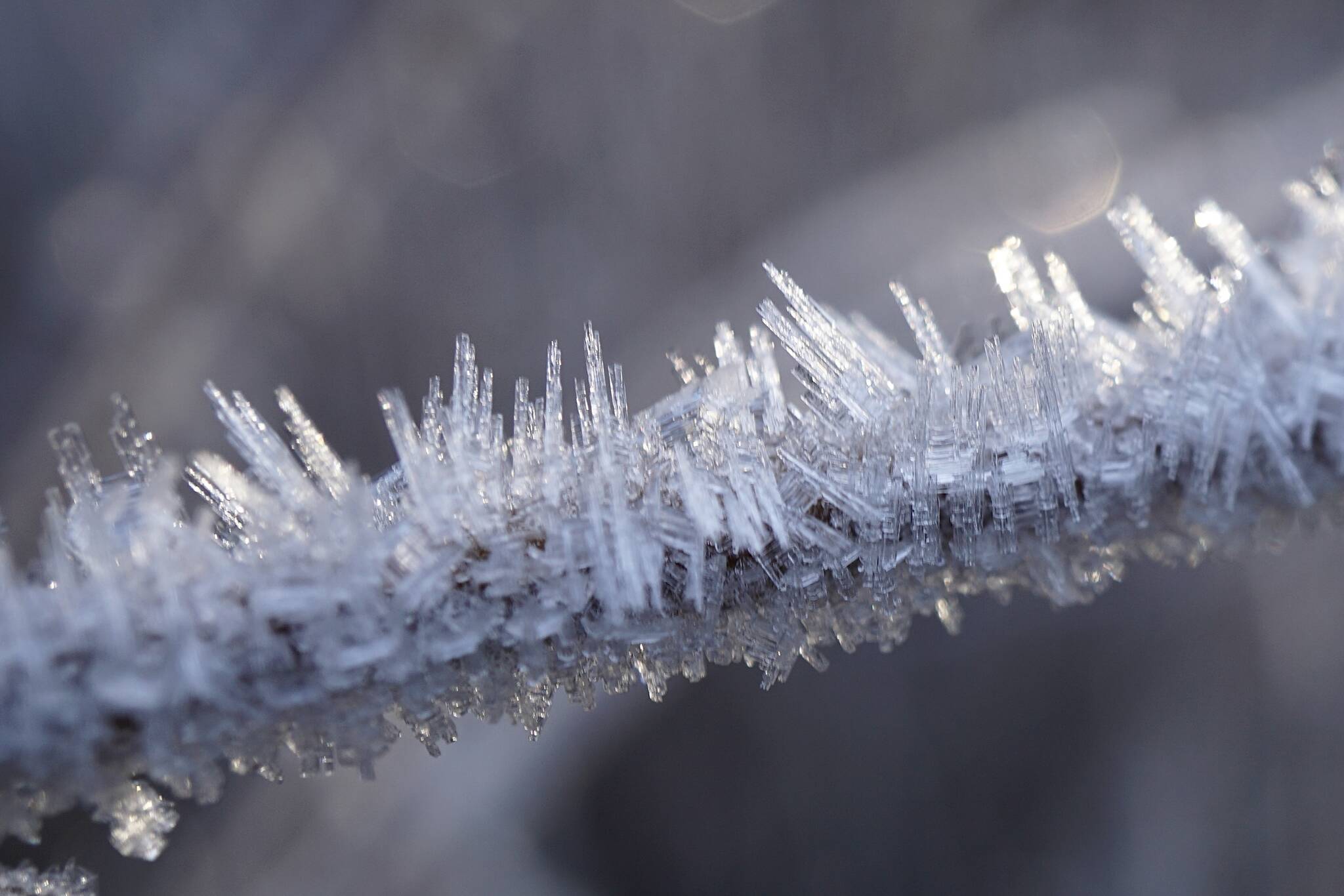 Hair frost forms on a branch on a chilly winter morning. (Courtesy Photo / Marti Crutcher)