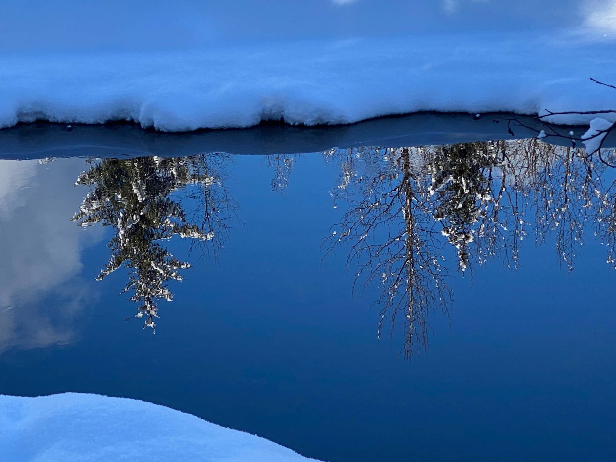 This photo shows reflections in a Dredge Lake slough. (Courtesy Photo / Denise Carroll)