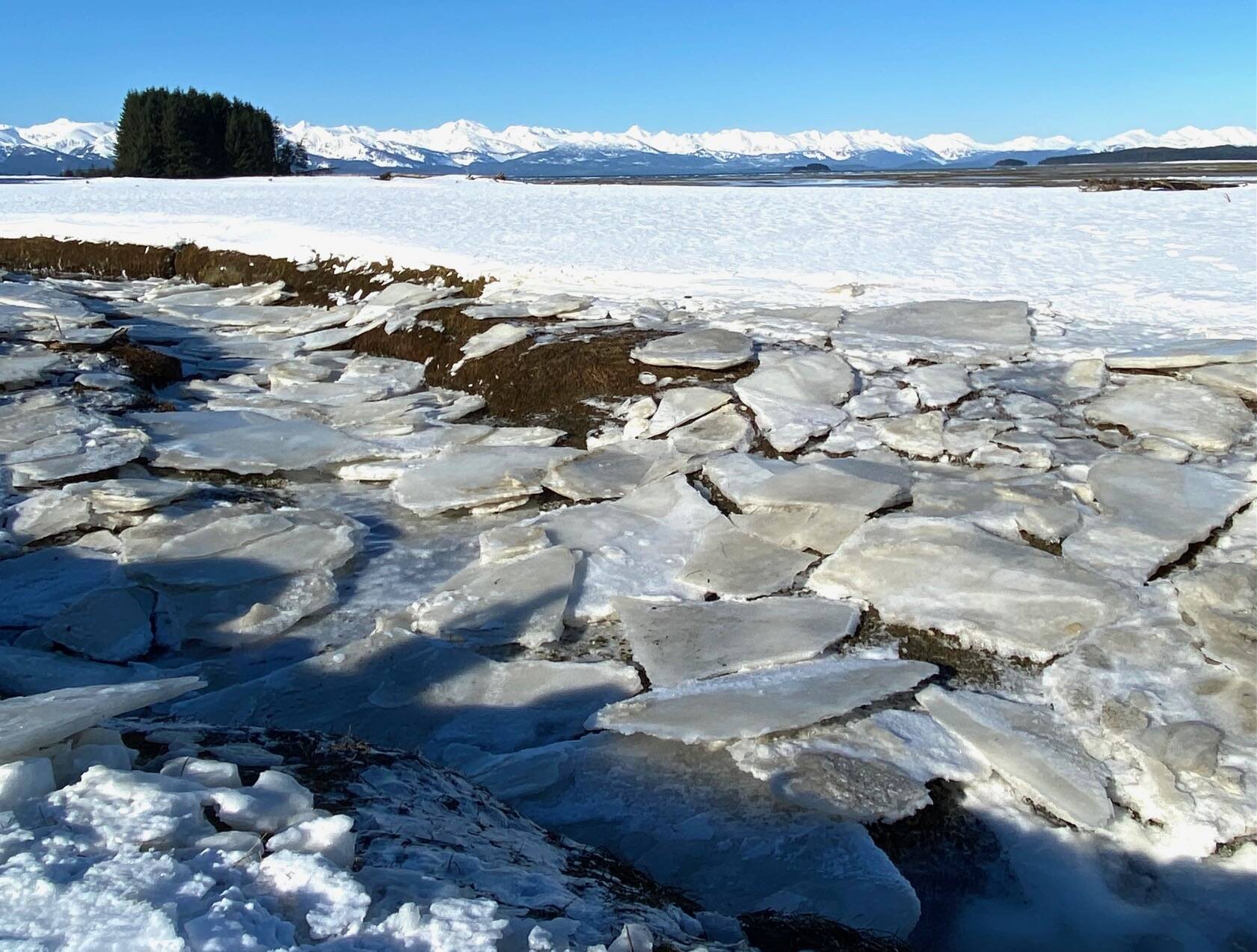 A long strip of crumpled ice at the high tide line on Boy Scout Beach. (Courtesy Photo / Denise Carroll)