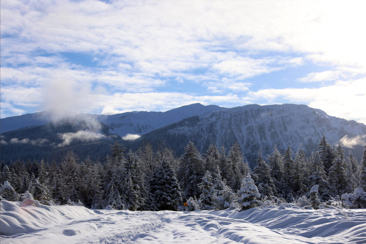 City releases final draft of Montana Creek master plan Juneau Empire