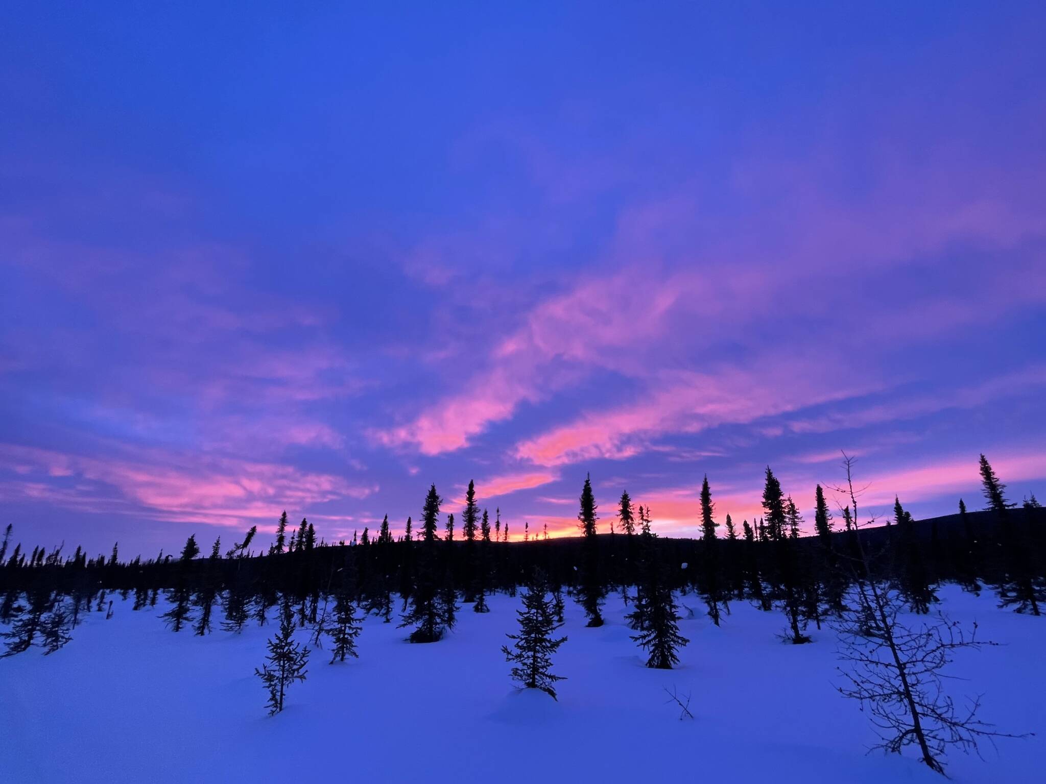 Sunset falls over an Interior Alaska landscape into which hundreds of ravens flew recently. (Courtesy Photo / Ned Rozell)