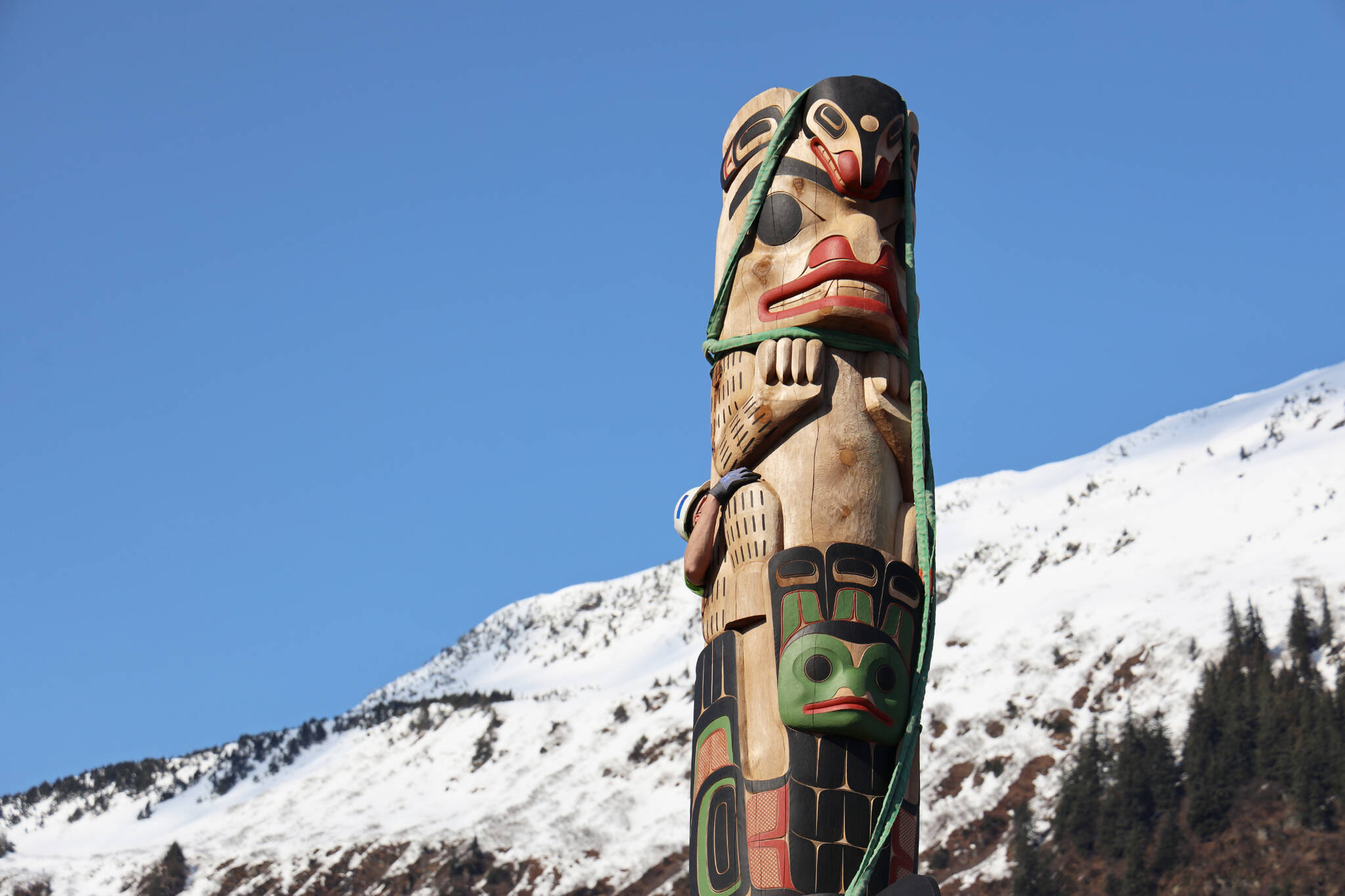 The sun glistens off a totem pole by Tsimshian carver Gyibaawm Laxha David Robert Boxley after it was raised at Overstreet Park Sunday afternoon. The pole is one of the first 12 of 30 totem poles to be raised to create a Kootéeyaa Deiyí (totem pole trail) lining the waterfront in Juneau. (Clarise Larson / Juneau Empire)