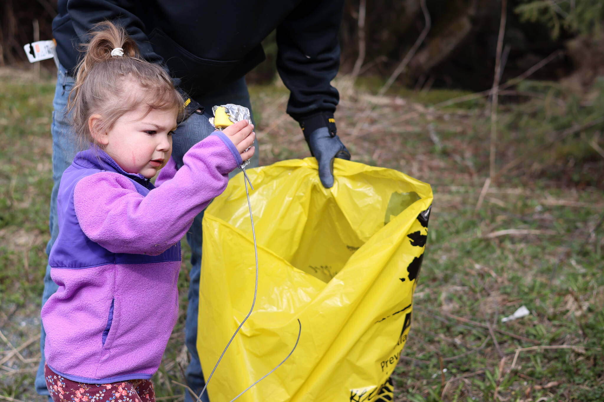 Genevieve Berry, 3, places litter in a trash bag on Earth Day during a communitywide cleanup. (Ben Hohenstatt / Juneau Empire)