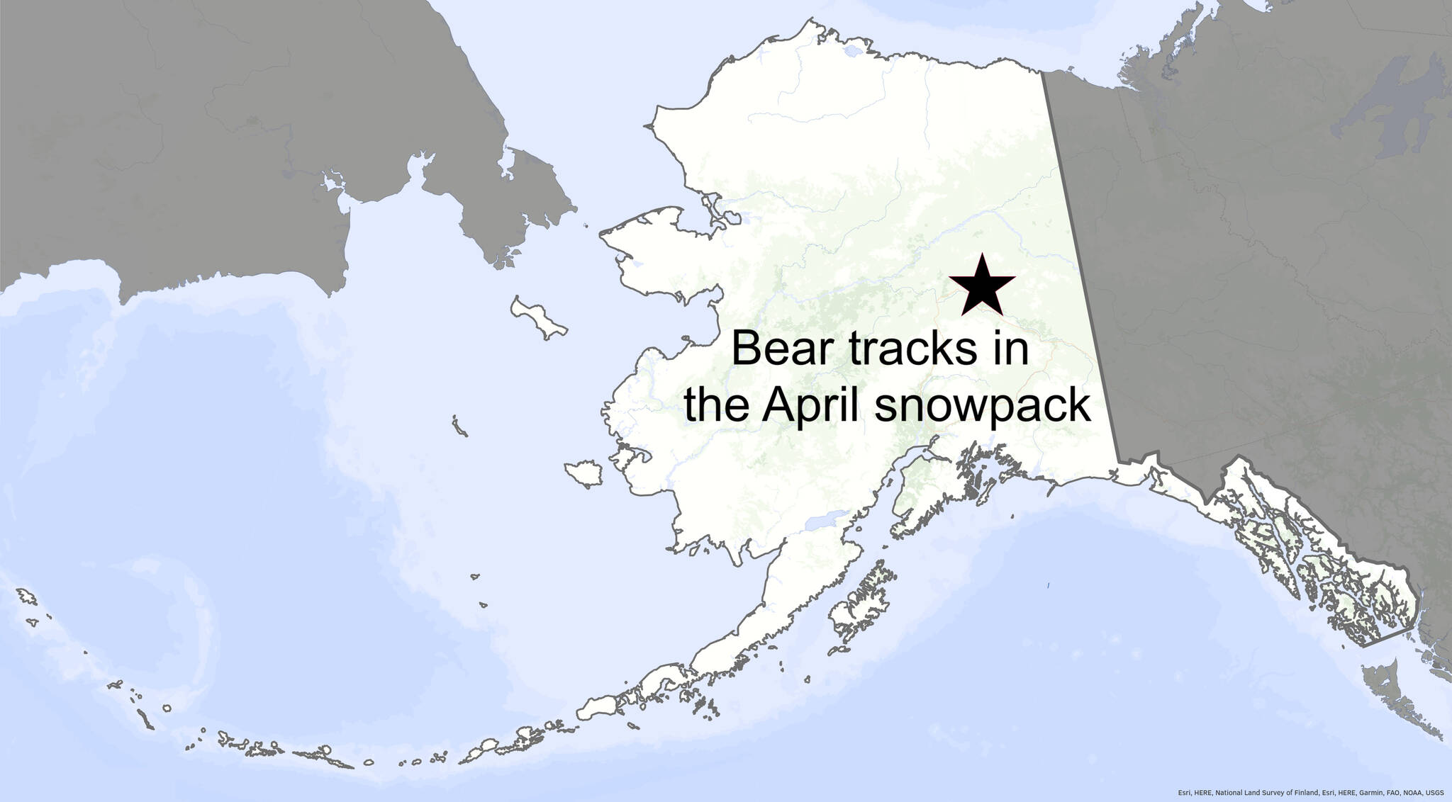 This map shows the location of bear tracks. (Courtesy Image / Ned Rozell)