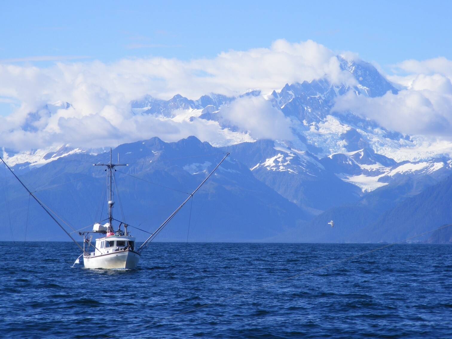 TommyL II sails the open waters of Alaska in search of wild salmon for the Southeast Alaska based company Shoreline Wild Salmon, which was recently recognized for its excellence in quality by Good Housekeeping Institute Nutrition Lab. (Courtesy Photo / Joe Emerson)