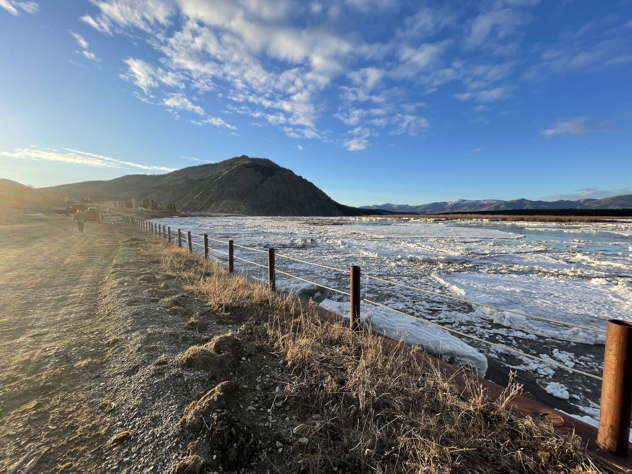 Yukon River ice flows past the metal fence that marks the top of the seawall in Eagle, Alaska on the evening of May 12, 2023, a few hours before the ice overtopped the wall. (Courtesy Photo / Ned Rozell)