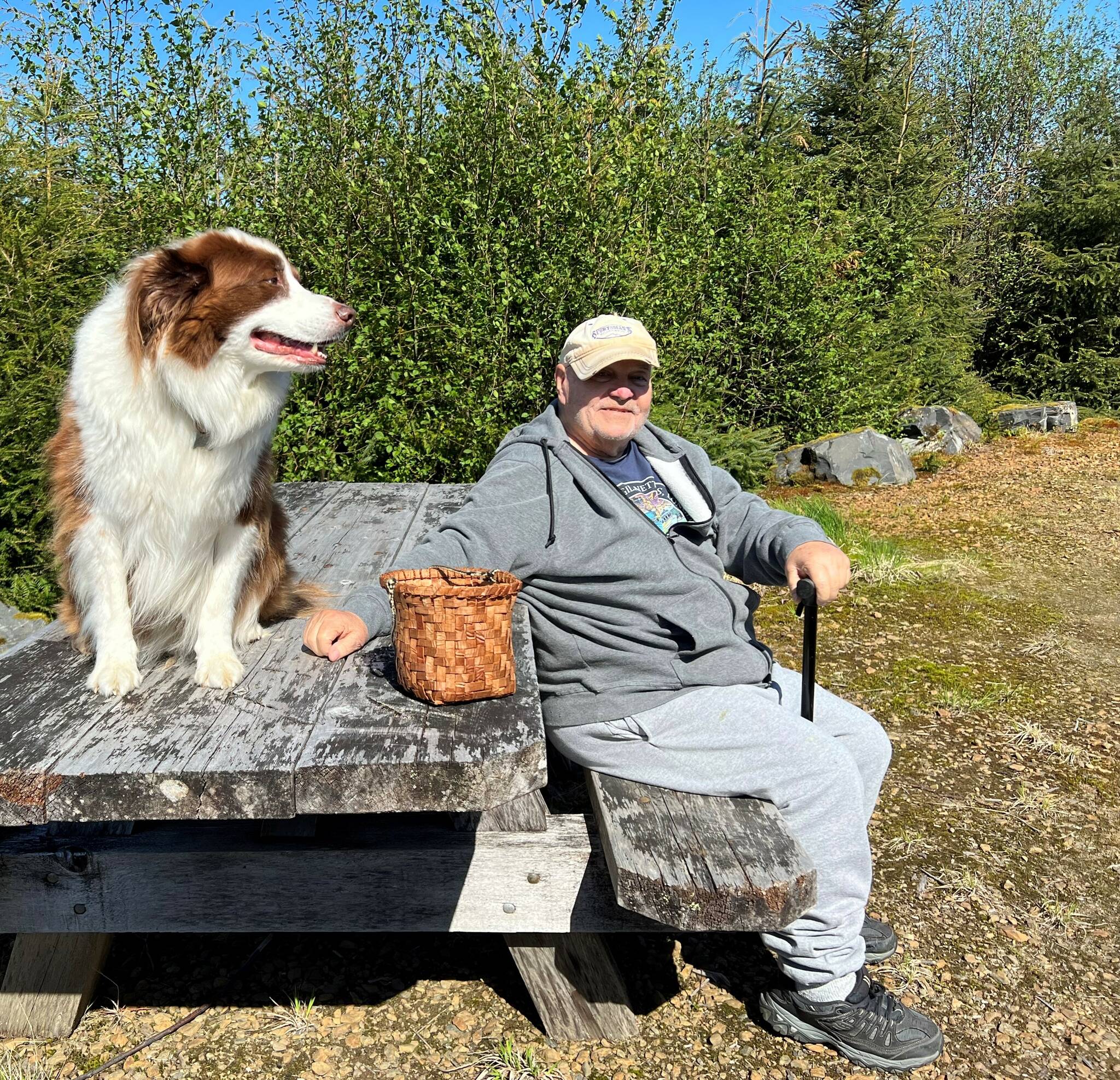 Mickey Prescott and Oscar help pick spruce tips in Wrangell. (Photo by Vivian Faith Prescott)
