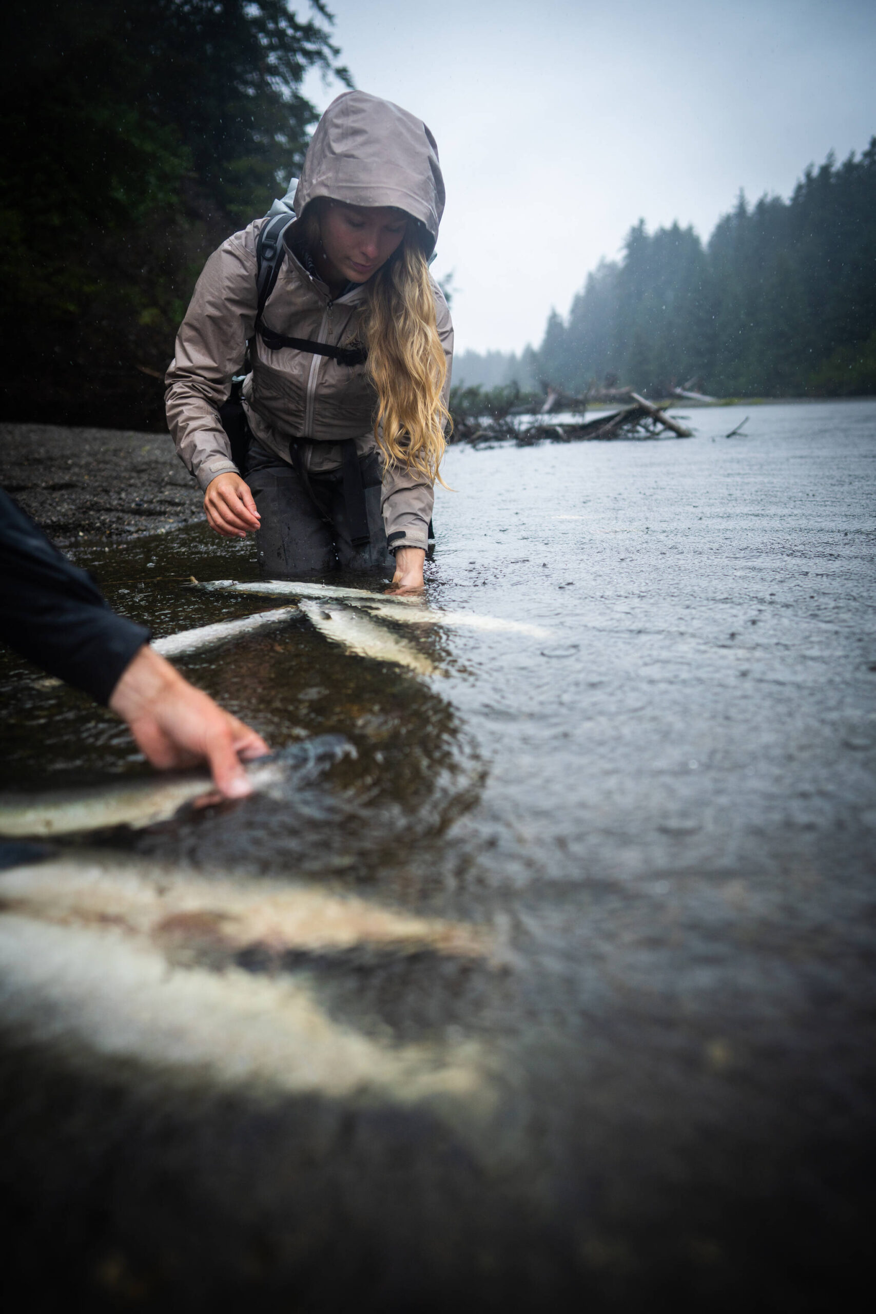 While working for the Yakutat Tlingit tribe, Jennifer Hanlon was able to secure funding starting in 2020 to hire a tribal fisheries biologist that would support the existing Yakutat River Rangers program. This program pairs a fish biologist (Havaleh Rohloff) hosted by the tribe with a fish biologist from the Yakutat Ranger District to spend time on local rivers collecting important data about fish resources, sharing stewardship guidelines with visiting anglers, and positioning the tribe with more data and resources to engage meaningfully on state and federal policy regarding fish populations. (Bethany Goodrich / Sustainable Southeast Partnership)