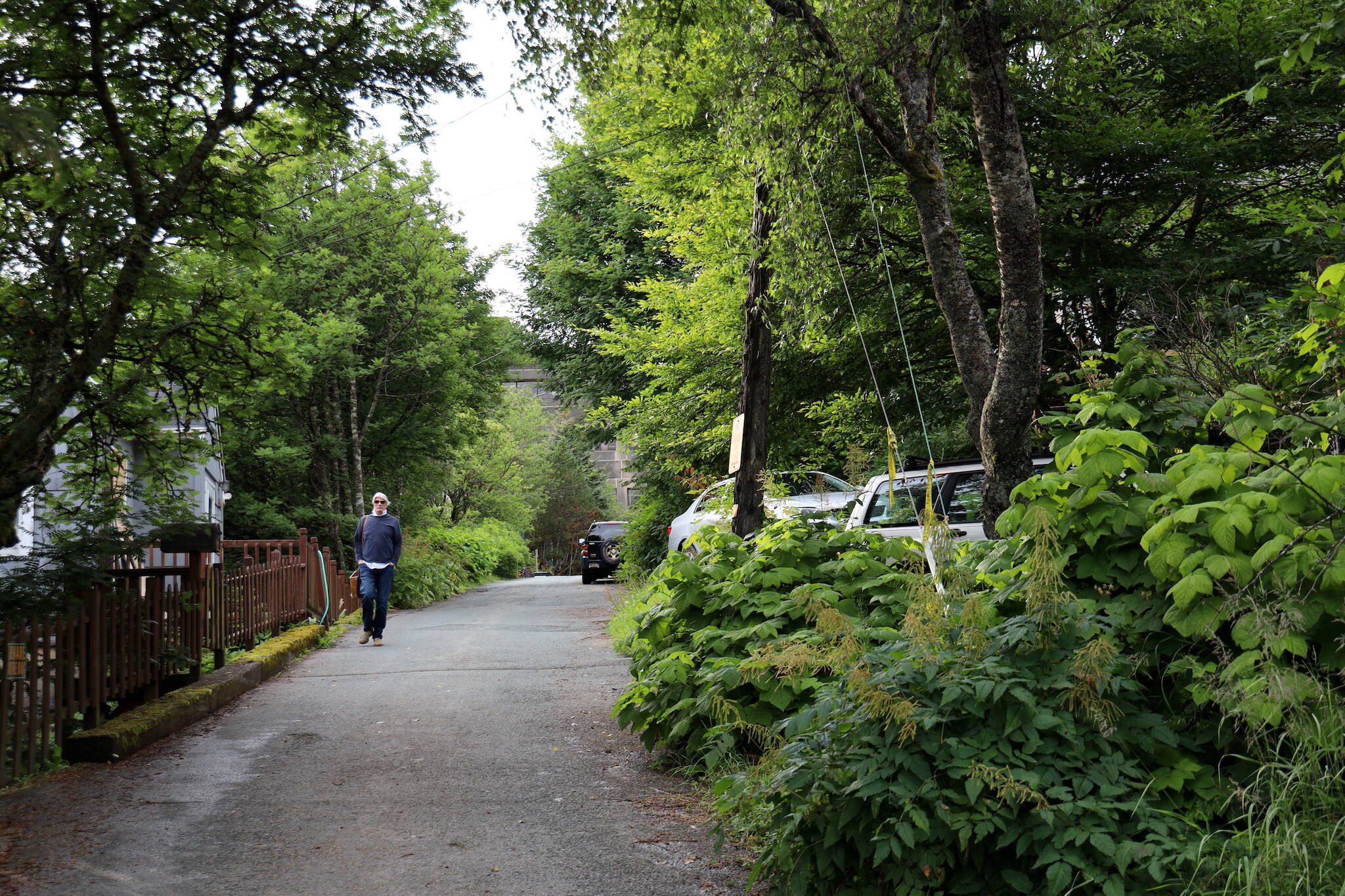 Roald Simonson, a longtime resident of Juneau’s Telephone Hill, walks down Dixon Street in the Telephone Hill area on Wednesday evening. He said he plans to attend the upcoming city hosted meeting to discuss possible redevelopment plans for the area. (Clarise Larson / Juneau Empire)