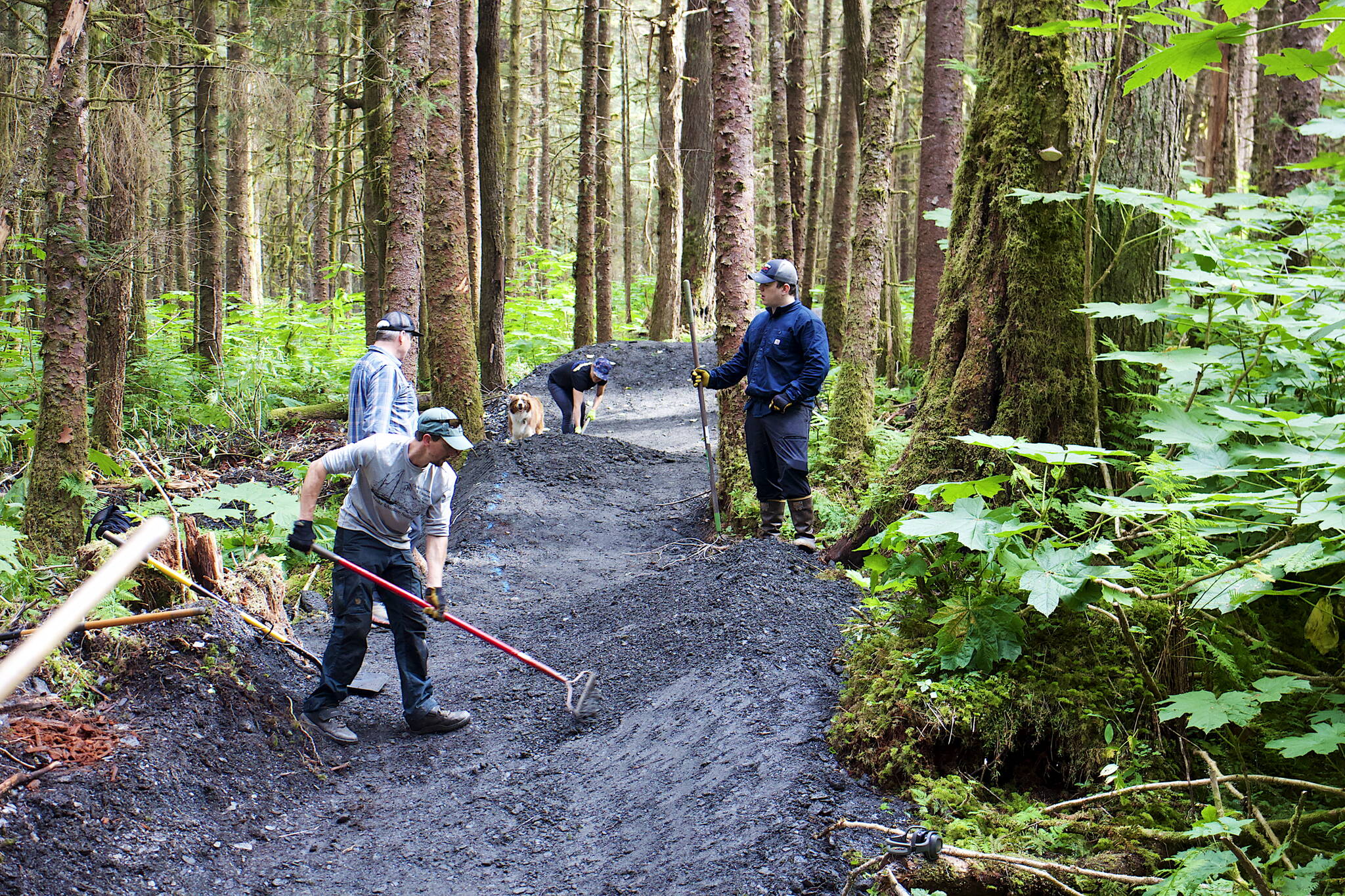 Volunteers work on the intermediate-level trail for the new Thunder Mountain Bike Park on Saturday. The new park, scheduled to be ready to ride early next week, will also initially feature a beginner’s trail. (Mark Sabbatini / Juneau Empire)