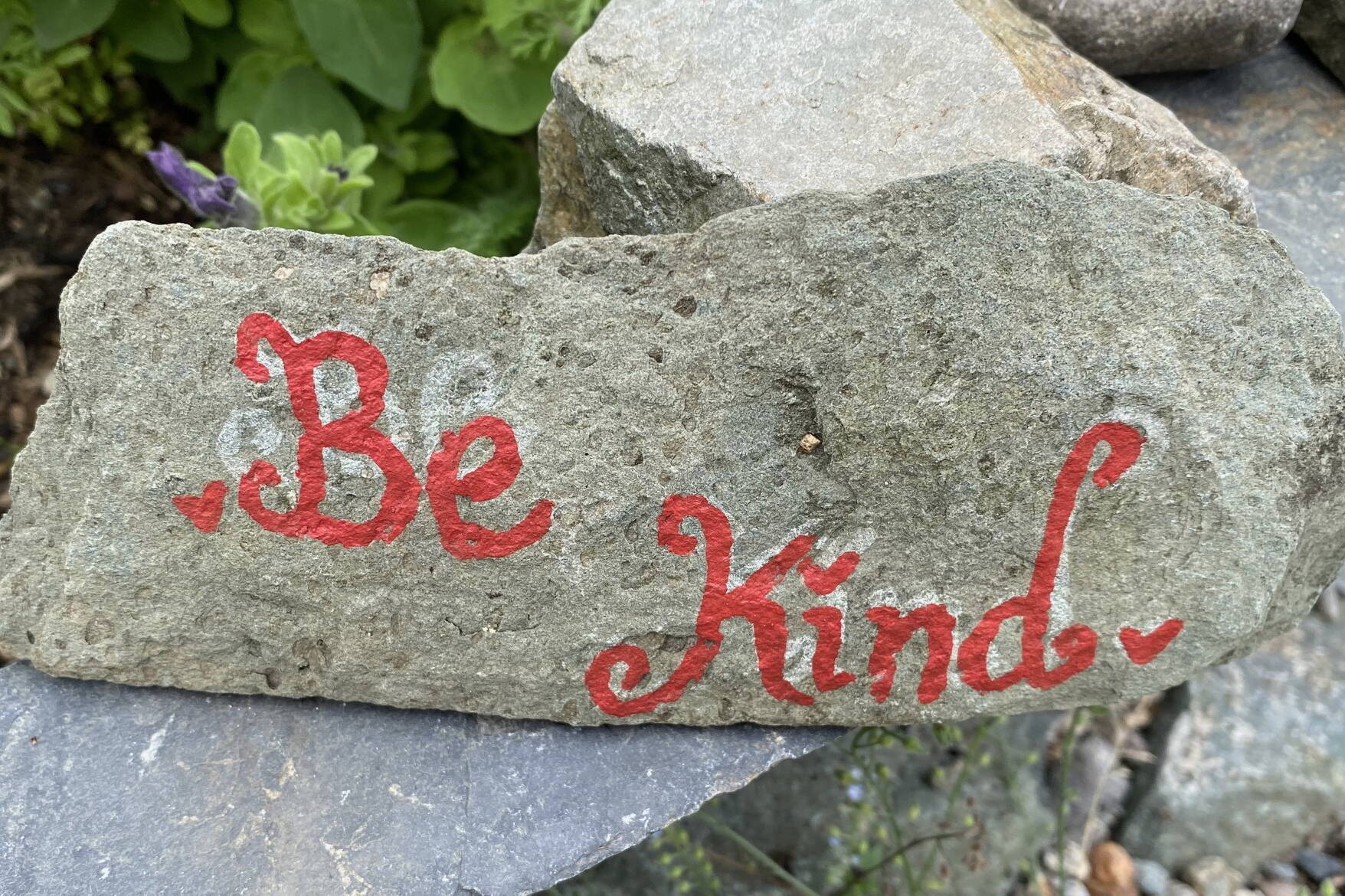 Good advice for everyone seen in a Gold Street garden on Aug. 4. (Photo by Denise Carroll)