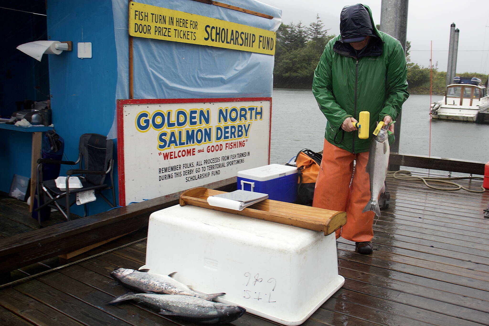 Mike Jaenicke, a dock sampler for the Alaska Department of Fish and Game, scans a tagged fish at the Douglas Harbor station during the 77th annual Golden North Salmon Derby on Saturday. (Meredith Jordan / Juneau Empire)