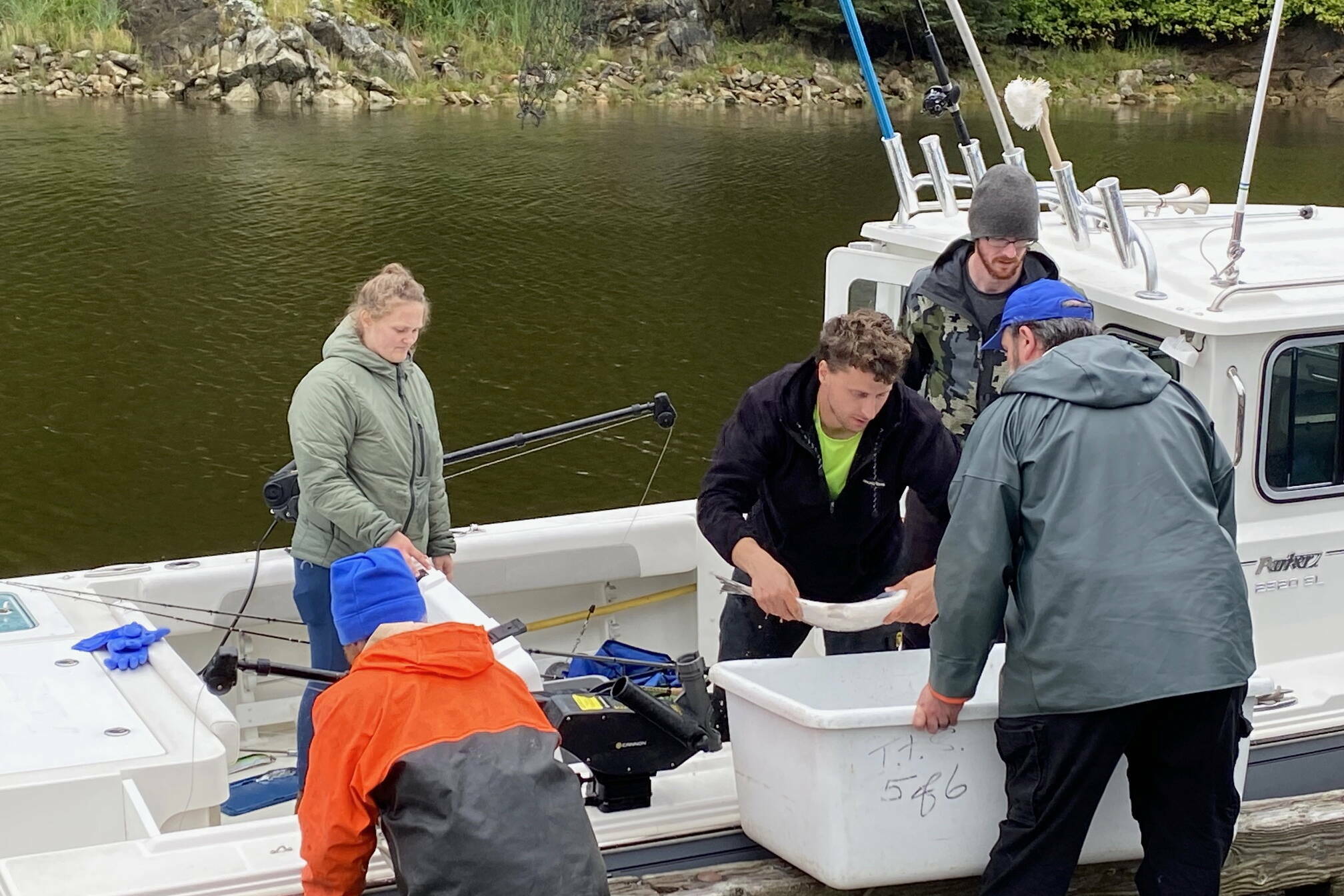 Allison Lihou, John Diamond and Brian Thomason (aboard boat) turn in five salmon, including four scholarship fish, to dock volunteers Jason Bailey (orange jacket) and Bobby Dilg at the Douglas Harbor station during the 77th annual Golden North Salmon Derby on Sunday. (Meredith Jordan / Juneau Empire)