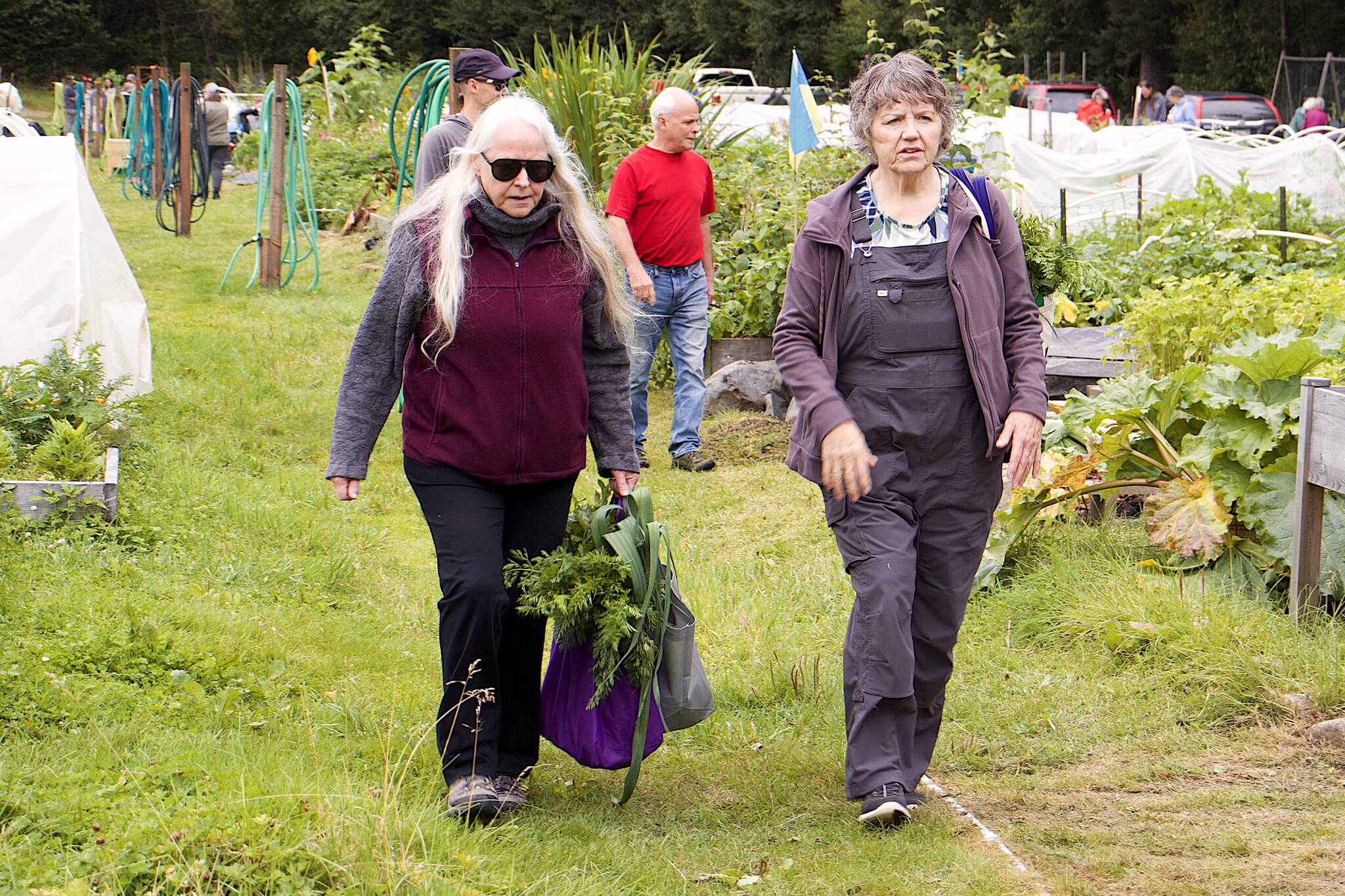 Pauline Plumb and Penny Saddler carry vegetables grown by fellow gardeners during the 29th Annual Juneau Community Garden Harvest Fair on Saturday. (Mark Sabbatini / Juneau Empire)