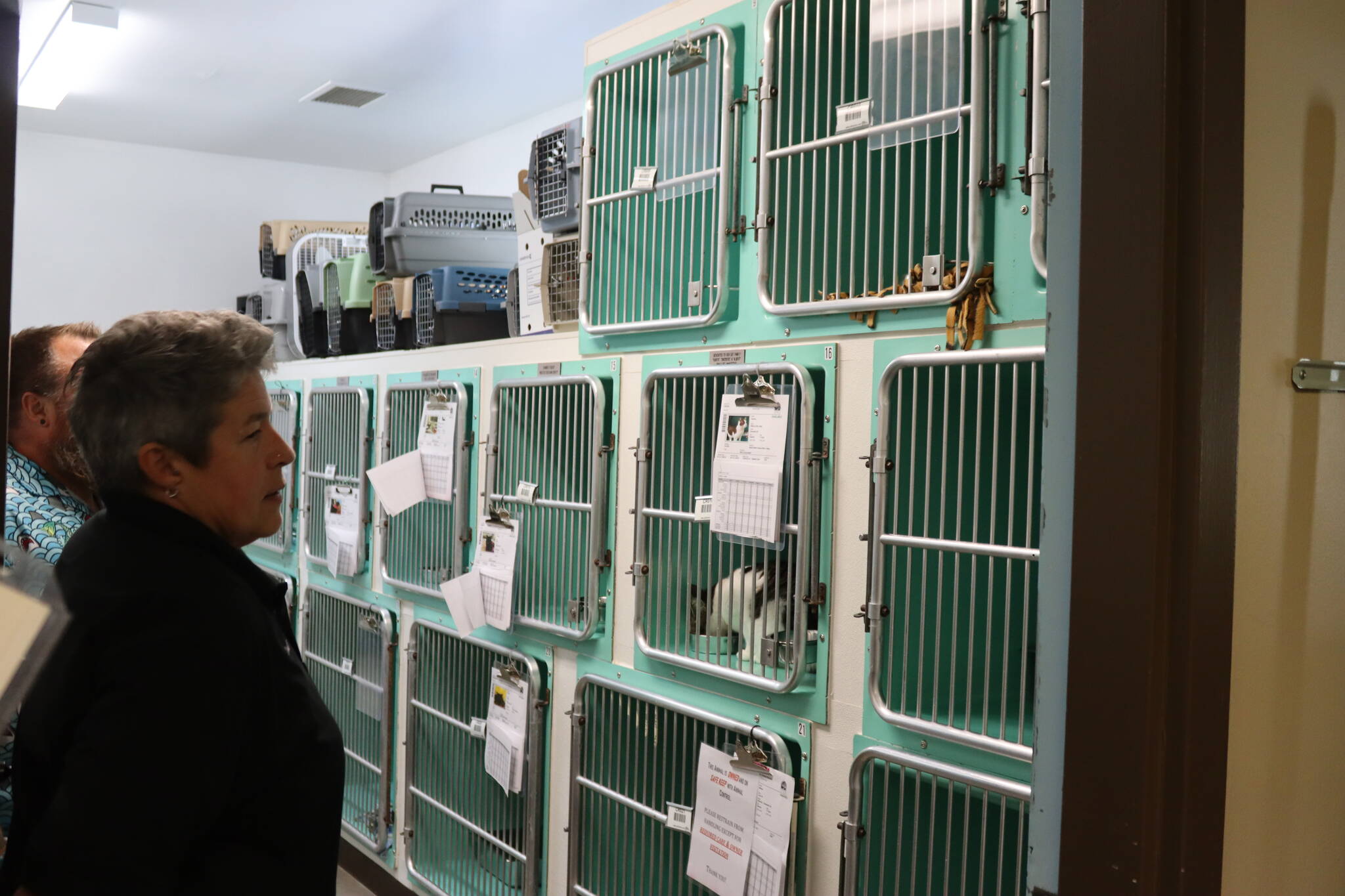Karen Wood (foreground) animal control director for Juneau Animal Control & Protection, and deputy director Andy Nelson examine cats being kept at the facility on Monday. (Meredith Jordan/ Juneau Empire)