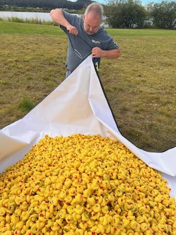 Hayden Garrison pulls up a corner of a net that his company, Creative Source, made to contain the thousands of ducks dropped from a helicopter during the Glacier Valley Rotary Duck Derby at Twin Lakes Park on Saturday. (Photo by Kelly Moore)