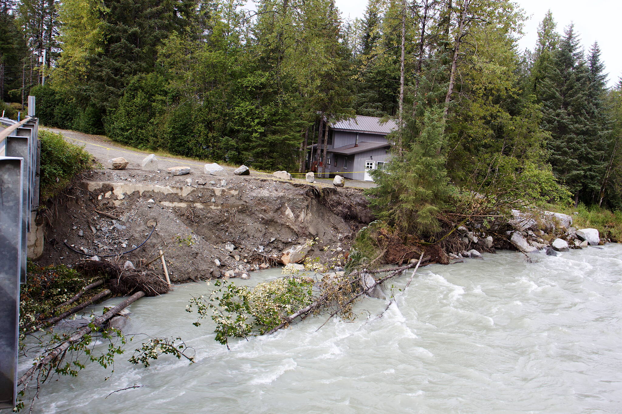 Trees lie in the Mendenhall River following last month’s record flooding that eroded massive sections of the riverbank, causing widespread property and environmental damage. (Mark Sabbatini / Juneau Empire)