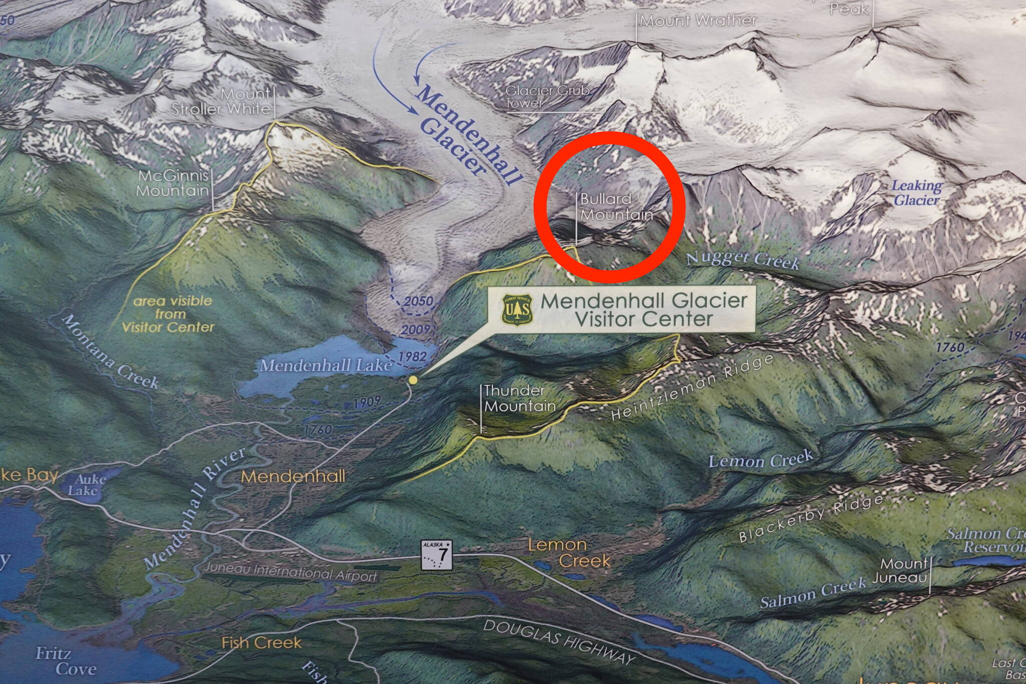 U.S. Forest Service
A large illustrated map by Eric Knight on display in Mendenhall Glacier Visitor Center provides an orientation view of Suicide Basin’s location (red circle). The basin is beneath lettering “Bullard Mountain” and east of Mendenhall Glacier.