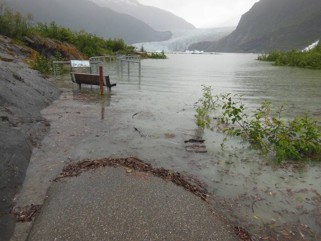 A thick flotsam line of twigs and branches flow onto the Photo Point Trail footbridge during the July 11, 2014 outburst flood. High water was 11.85 feet. Normal lake level is 5.5 feet. (Photo by Laurie Craig)