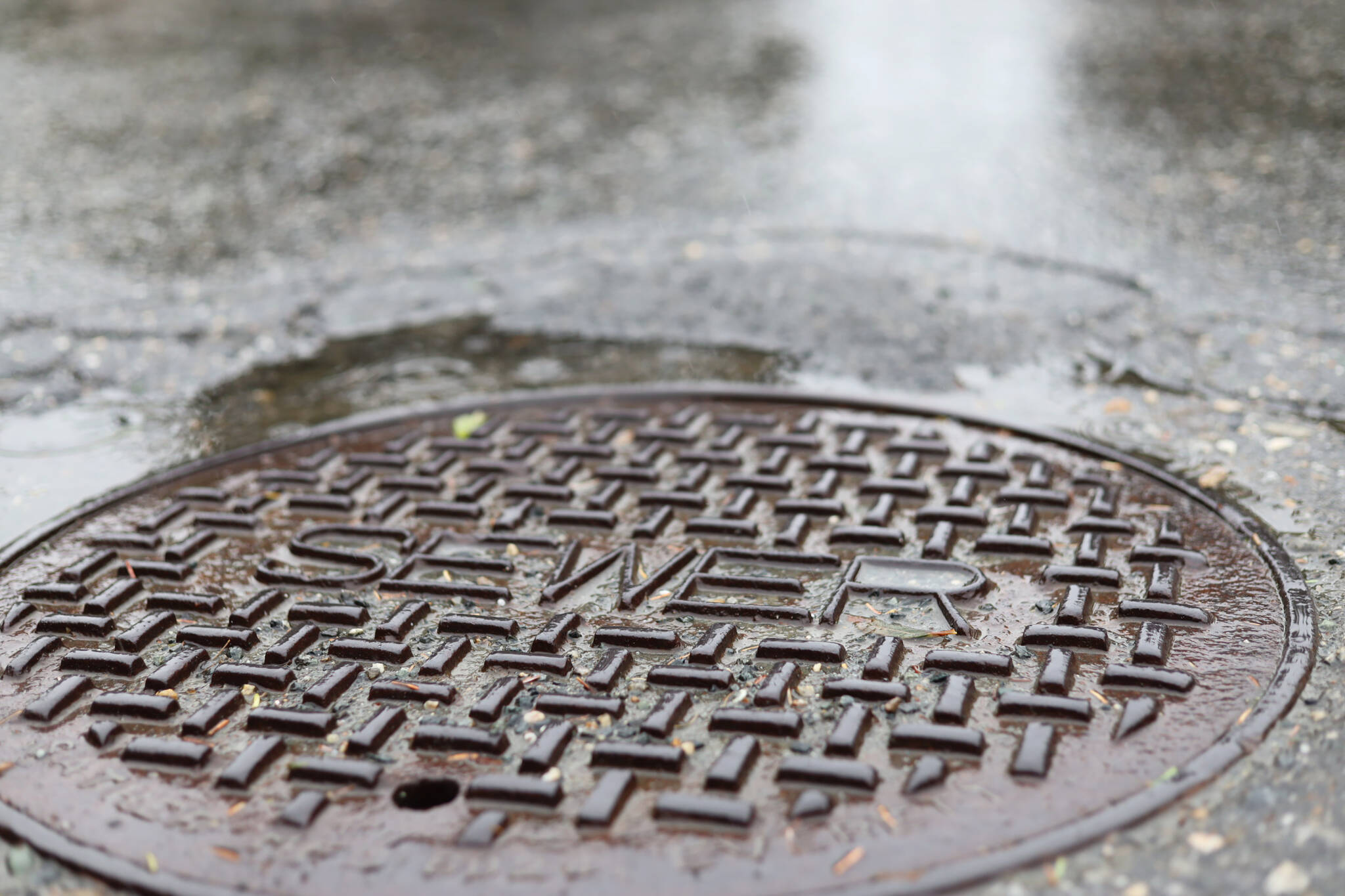 Rainwater surrounds a sewer maintenance hole in the Mendenhall Valley area Thursday afternoon. (Clarise Larson / Juneau Empire)