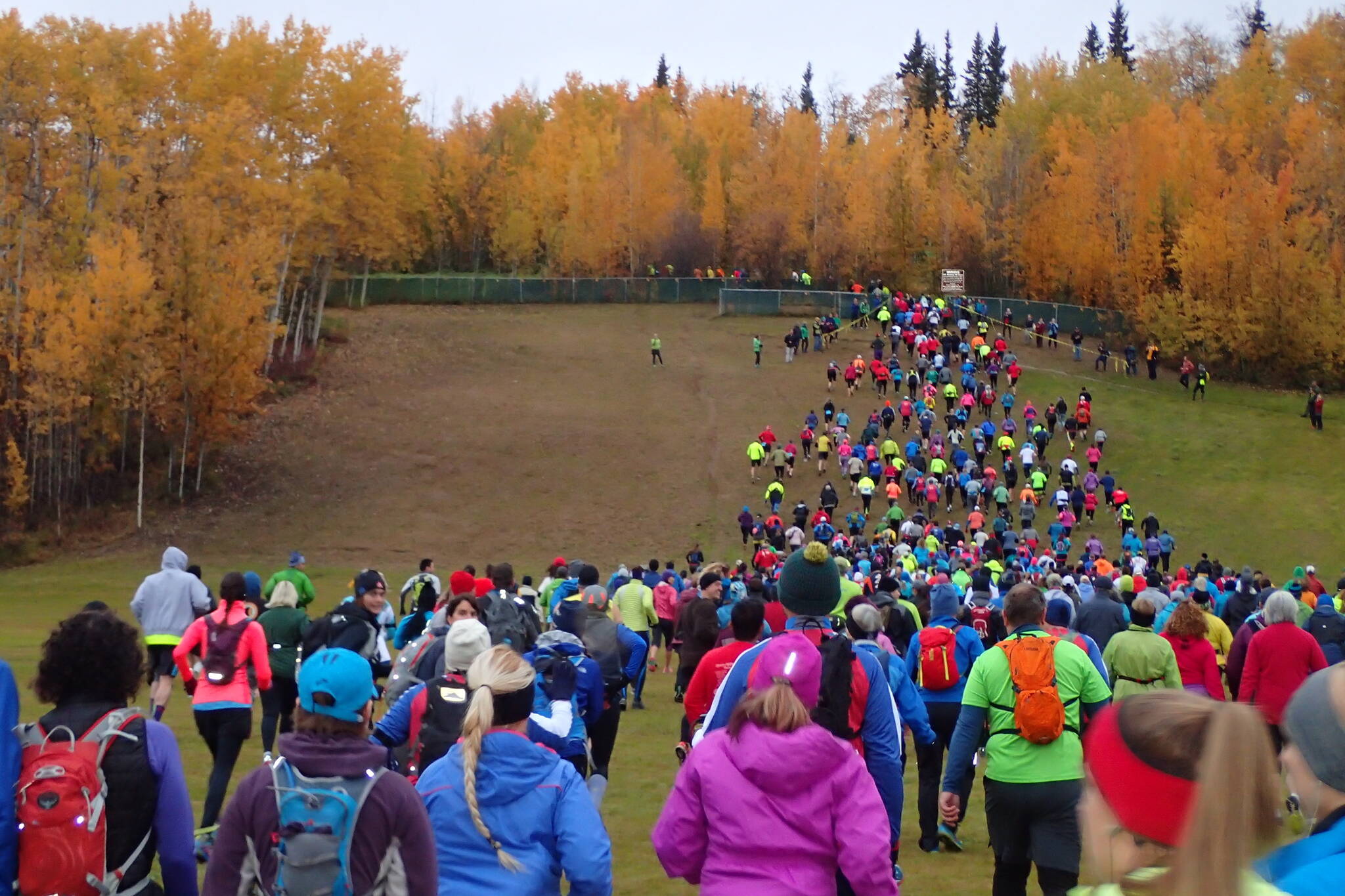 Runners ascend the old ski hill on the campus of the University of Alaska Fairbanks at the start of the 2015 Equinox Marathon. (Photo by Ned Rozell)