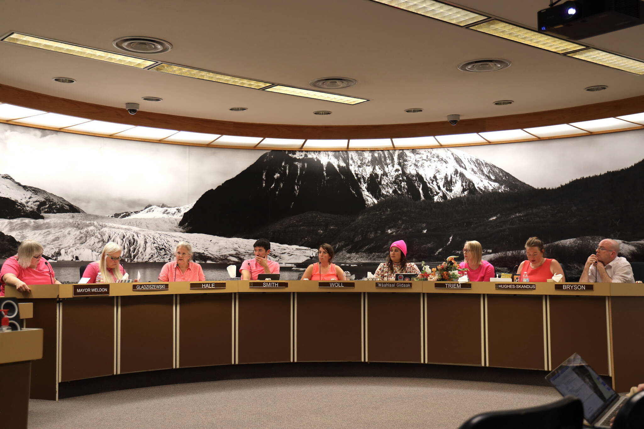 The City and Borough of Juneau Assembly was in full attendance sporting the color pink while conducting a meeting in early July in honor of departing member Carole Triem. (Clarise Larson / Juneau Empire File)