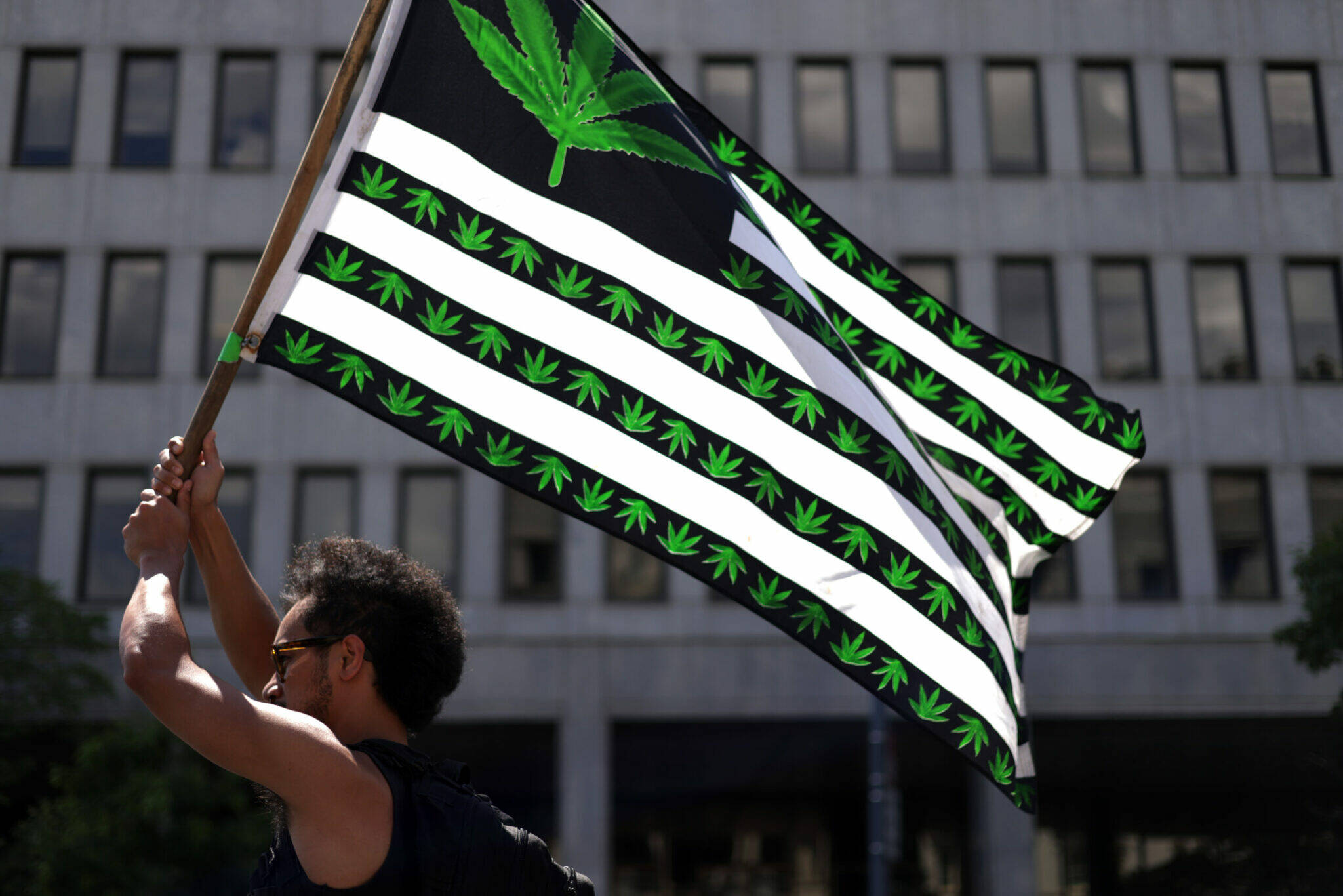 A marijuana activist holds a flag during a march on Independence Day on July 4, 2021, in Washington, DC. Members of the group Fourth of July Hemp Coalition gathered outside the White House for its annual protest on marijuana prohibition which the group said it dated back to more than 50 years ago during Nixon Administration. (Photo by Alex Wong/Getty Images)