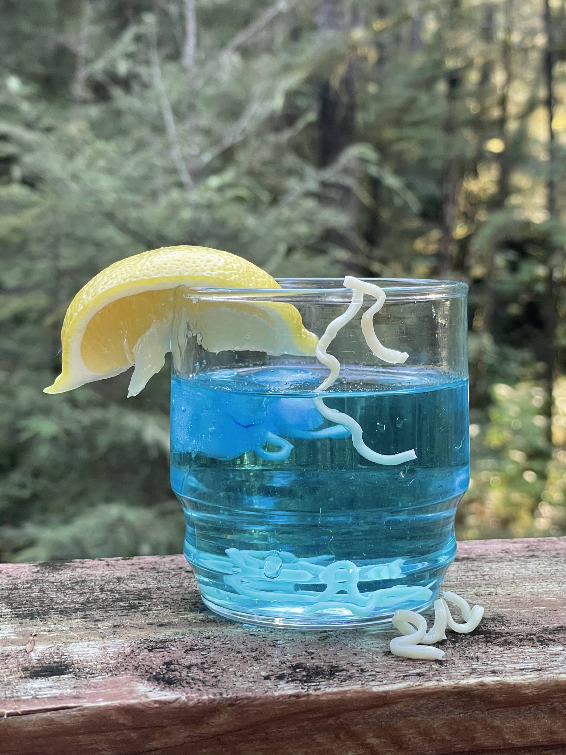 Commemorating Stroller White’s most famous column, the contributor created a mock Ice Worm Cocktail using blue food coloring in a glass of water with ramen noodles. The citrus slice celebrates one of newspaperman White’s enduring phrases to “put a squirt of lemon in it.” (Photo by Laurie Craig)