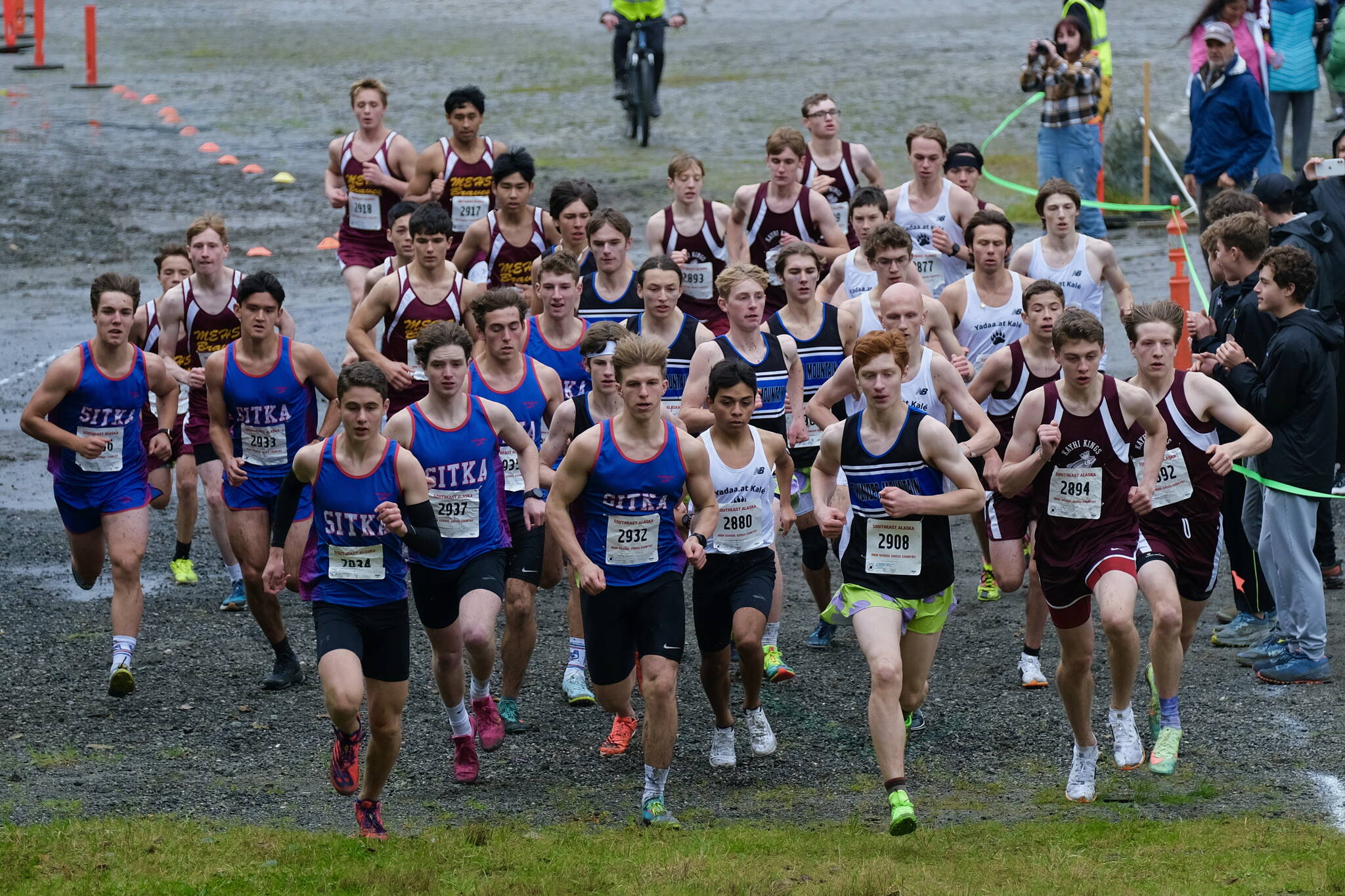 Runners start the combined DI/DII Region V Boys Cross Country Championship race on Saturday at Treadwell Mine Trails. (Klas Stolpe / For the Juneau Empire)