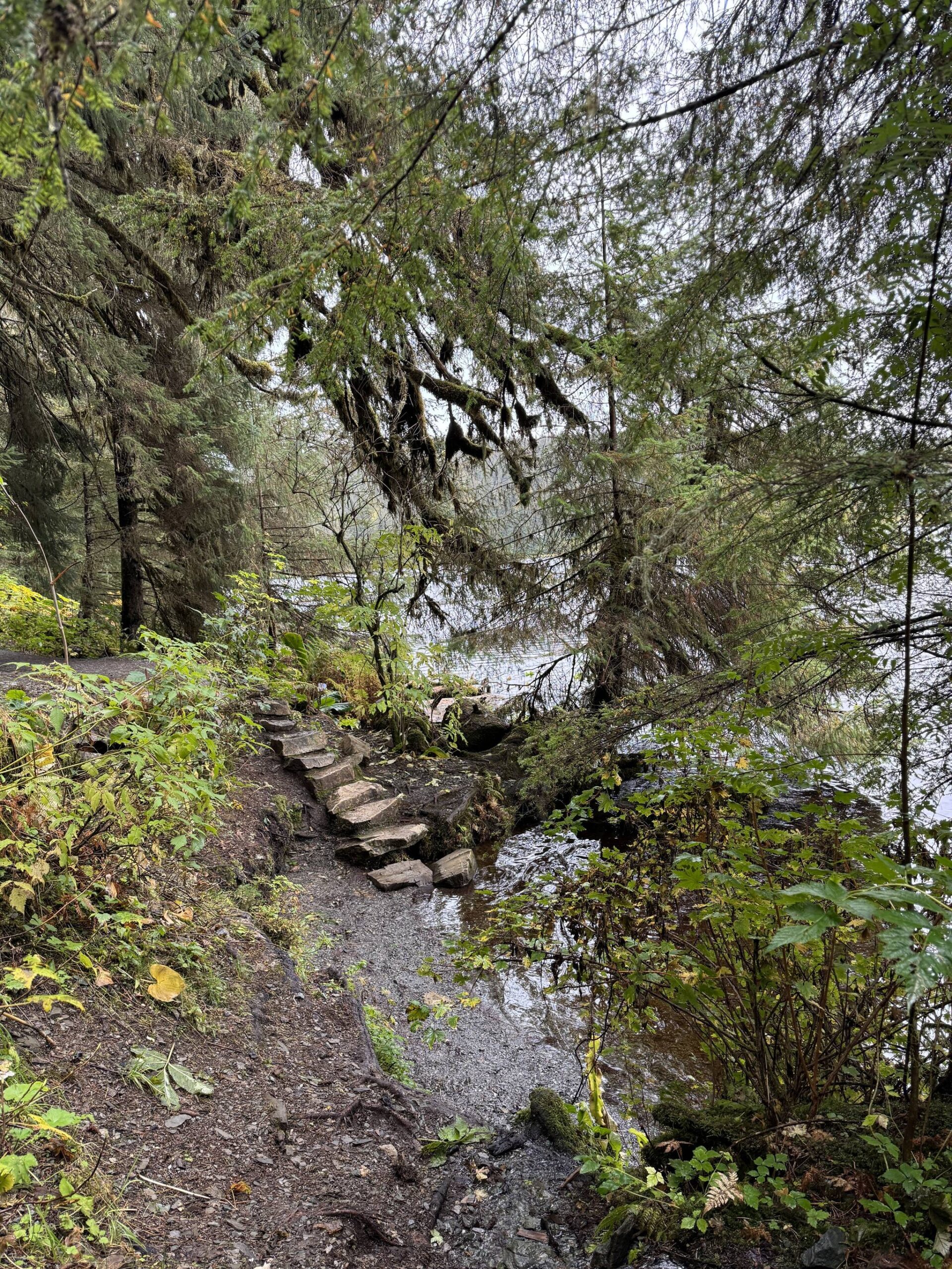 A rustic stairway leads from Auke Lake to the namesake trail on Sept. 30. (Photo by Deana Barajas)