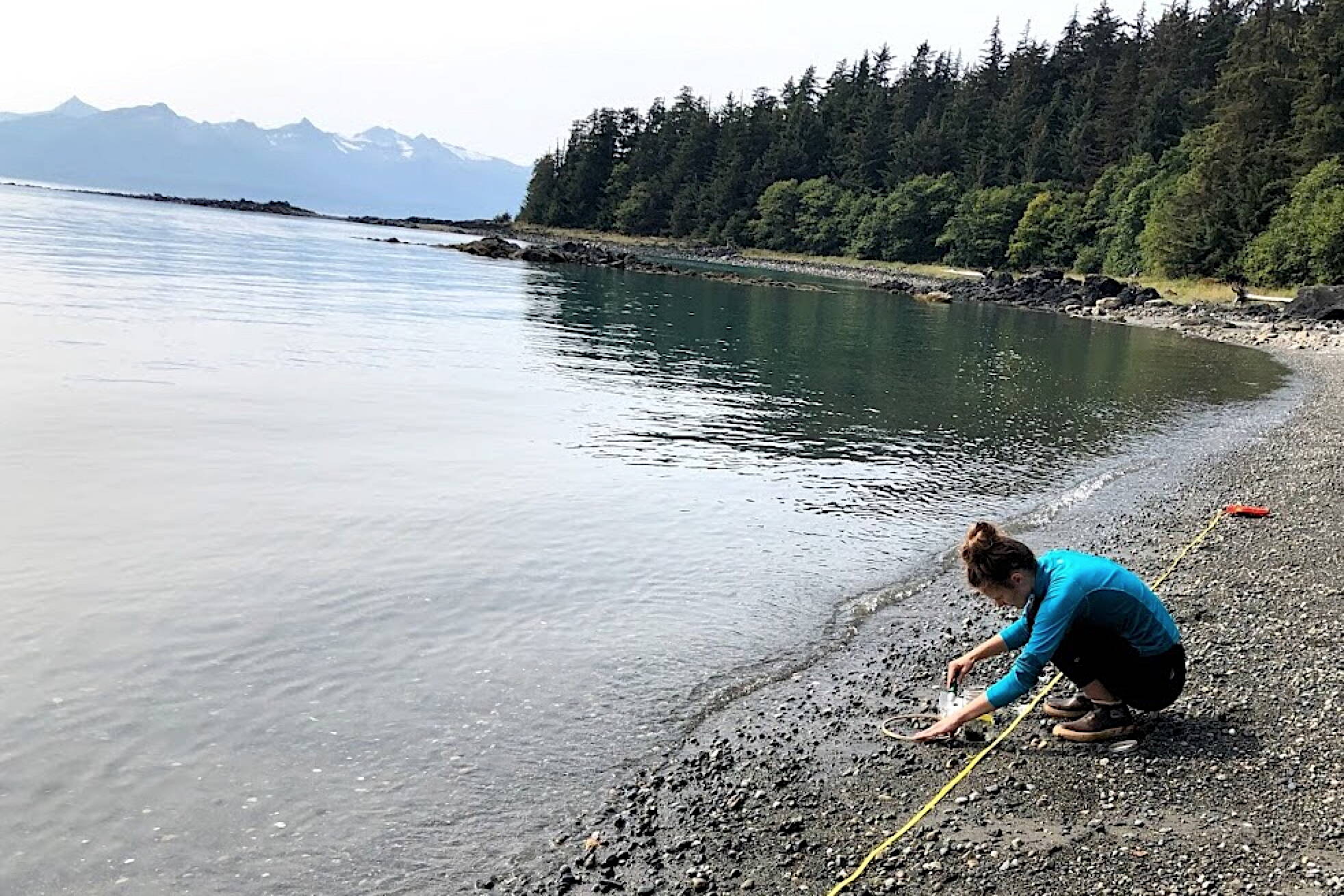 University of Alaska Southeast graduate student Muriel Walatka gathers samples of beach sand to examine for microplastics at Auke Recreation Area in August 2019. (Photo courtesy Sonia Nagorski)