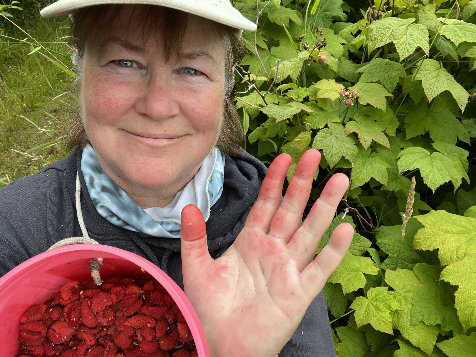 Author Vivian Faith Prescott picking thimbleberries this past summer to make freezer jams. (Photo by Vivian Faith Prescott)