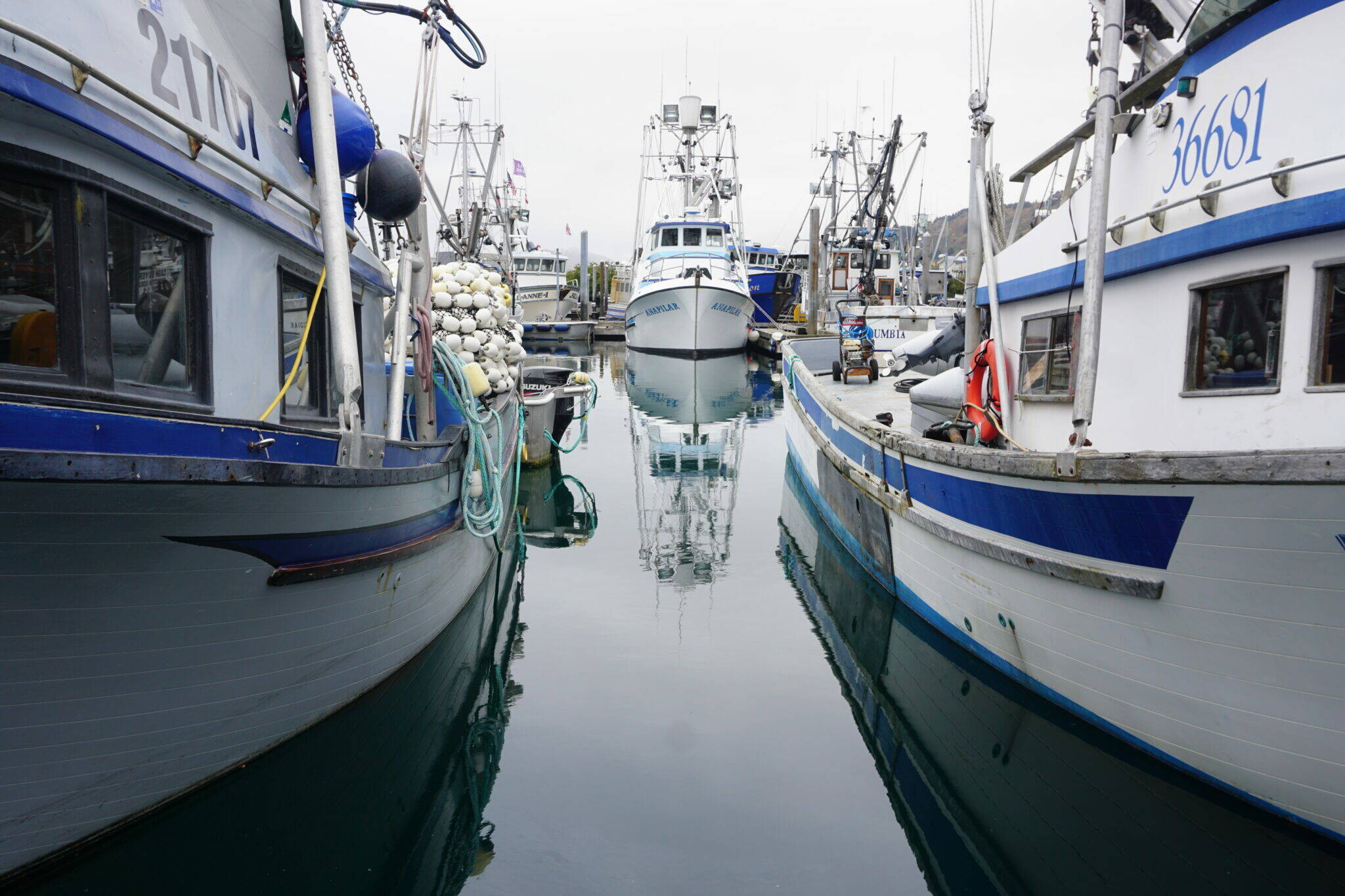 Fishing boats line the docks in Kodiak’s St. Paul Harbor on Oct. 2, 2022. Fish-harvesting employment has been declining since 2015, with multiple factors at play, according to an Alaska Department of Labor and Workforce Development analysis. (Photo by Yereth Rosen/Alaska Beacon)