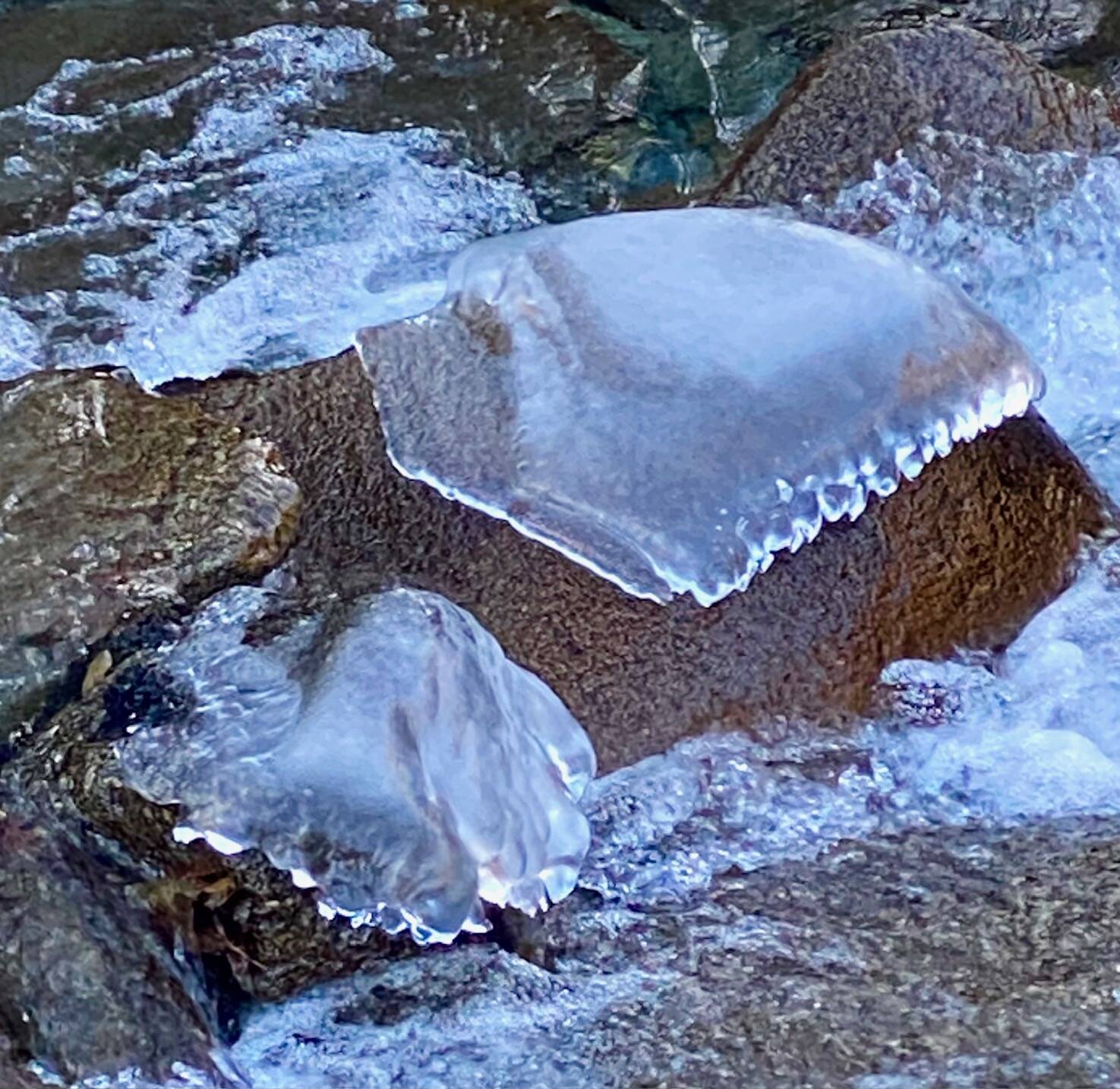 Gold Creek rocks wear icy blankets as temperatures drop on Oct. 25. (Photo by Denise Carroll)