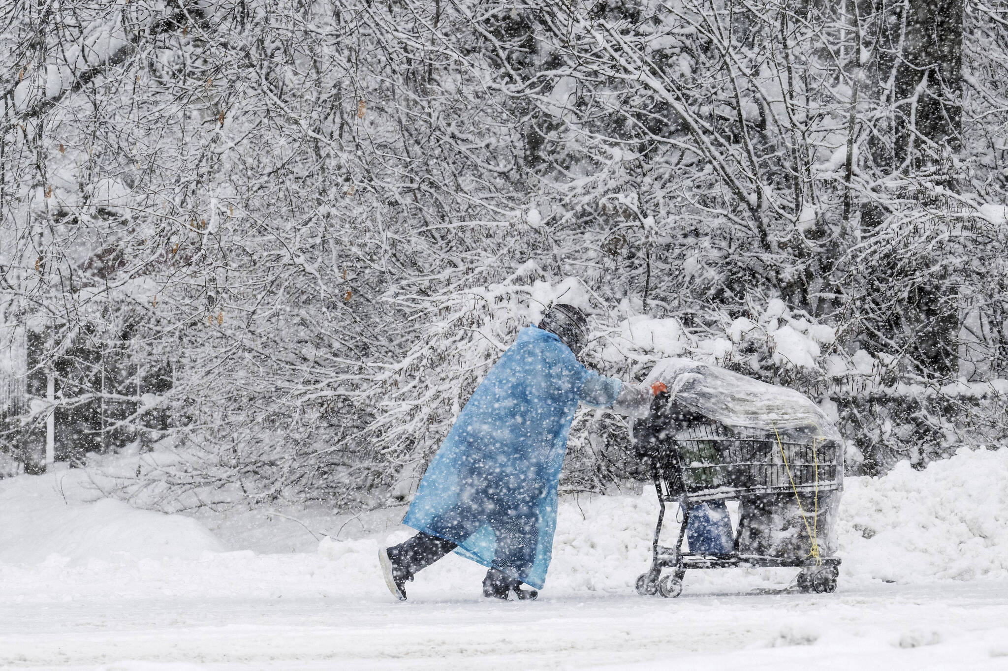 A pedestrian pushes a shopping cart on Cordova Street during a heavy snowfall on Thursday in Anchorage. Four homeless people have died in Anchorage in the last week, underscoring the city’s ongoing struggle to house a large houseless population at the same time winter weather has returned, with more than 2 feet (0.61 meters) of snow falling within 48 hours. (Marc Lester/Anchorage Daily News via AP)