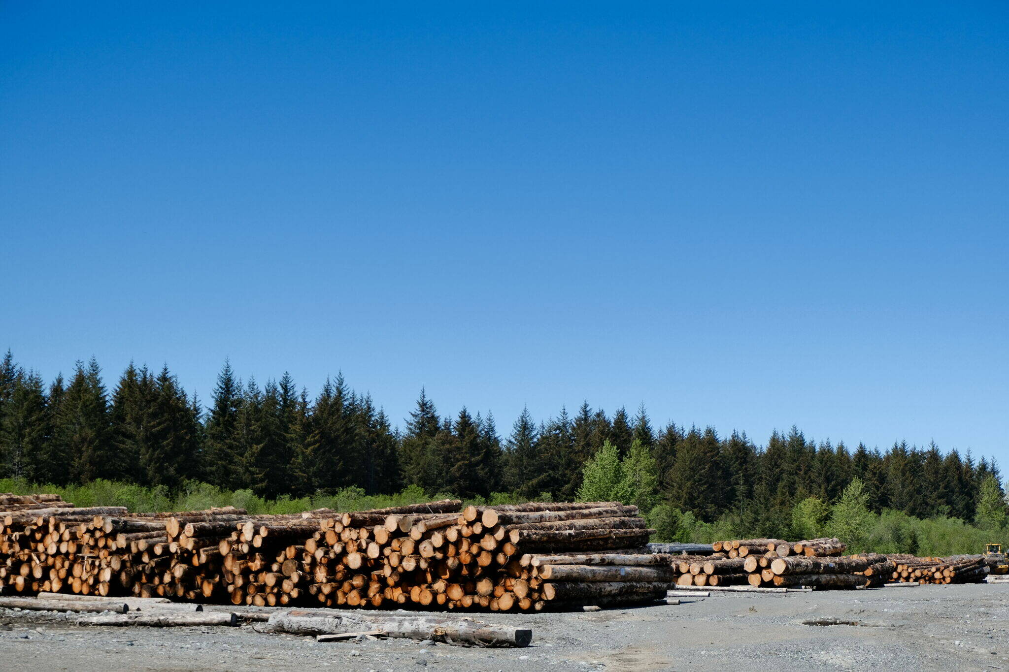 Stacked logs are seen in Yakutat on June 3. (Photo by Claire Stremple/Alaska Beacon)