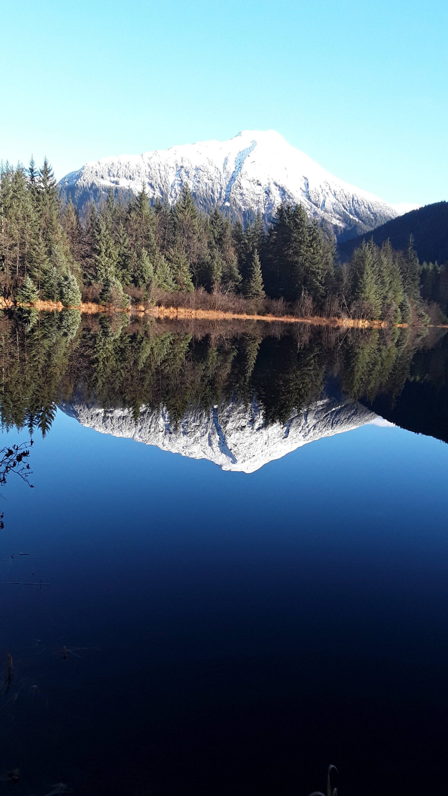 A mirror image at Crystal Lake, submitted Nov. 13. (Photo by Greg Capito)