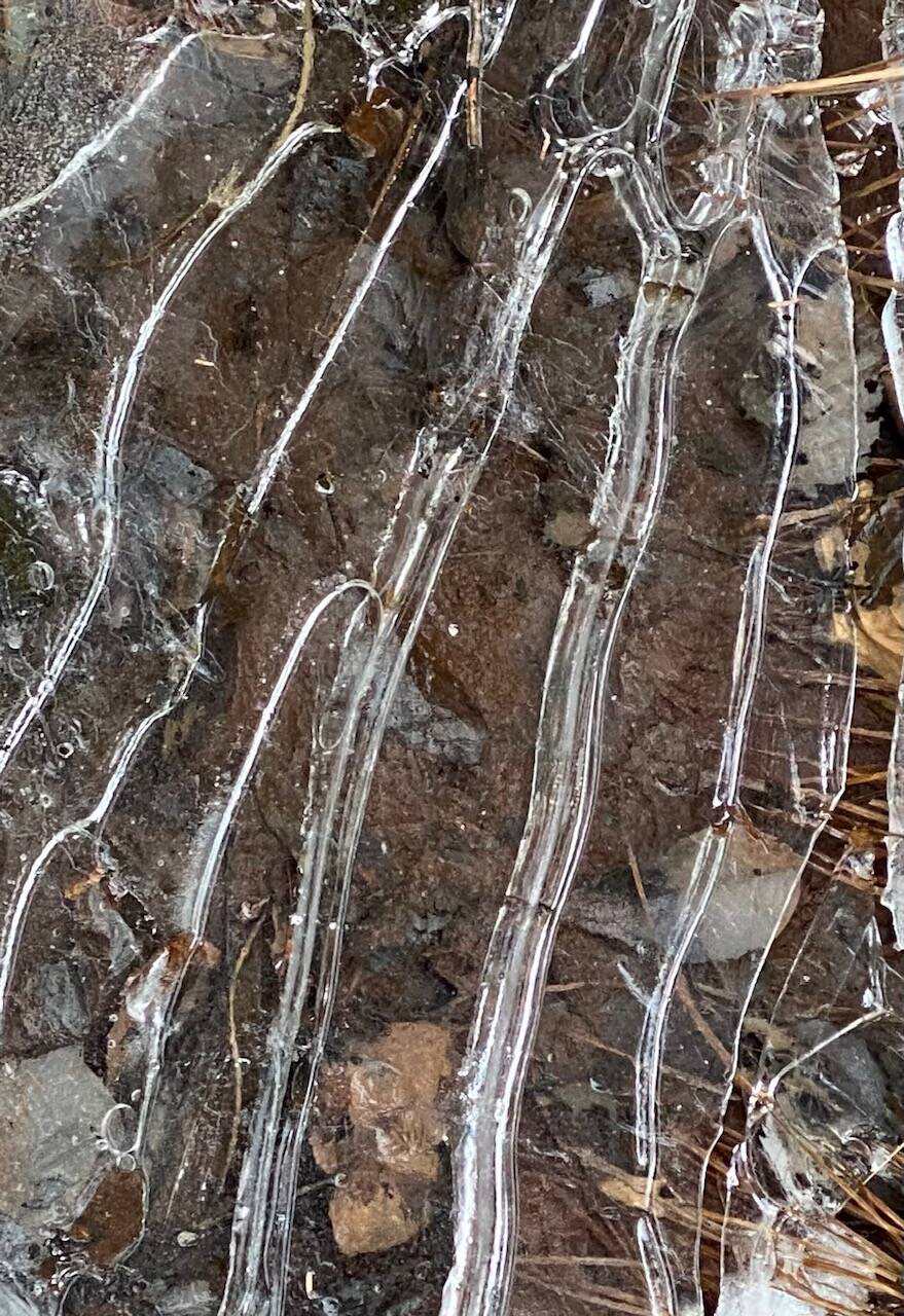 Cold icy dagger-like fingers on the rocky wall of Perseverance Trail on Oct. 25. (Photo by Denise Carroll)