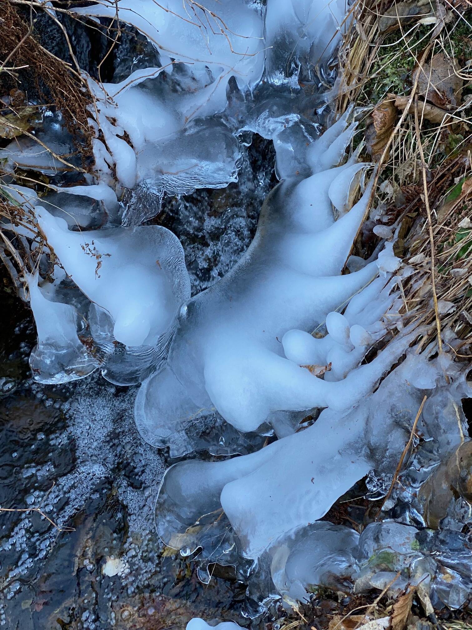 Icy formations in Granite Creek Basin resemble ghost-like creatures attempting to climb up and out on Oct. 25. (Photo by Denise Carroll)