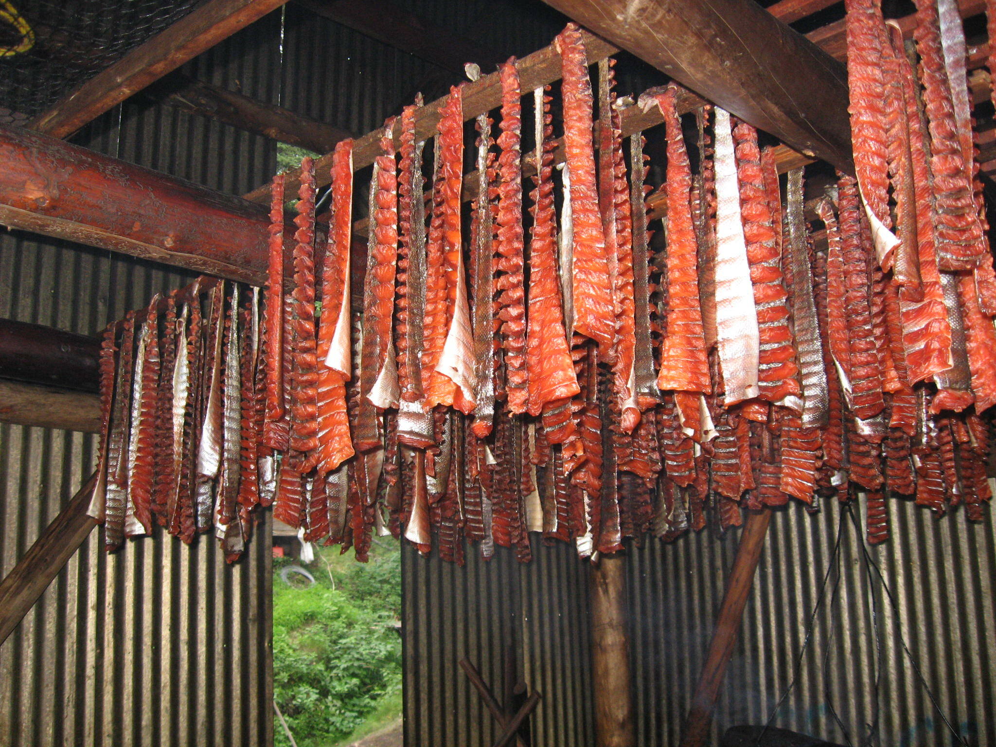 Strips of chum salmon hang on a drying rack on Aug. 22, 2007. A new study by federal and state biologists identies marine heat waves in the Bering Sea and Gulf of Alaska as the likely culprit in the recent crashes of Western Alaska chum salmon runs. (Photo by S.Zuray / U.S. Fish and Wildlife Service)